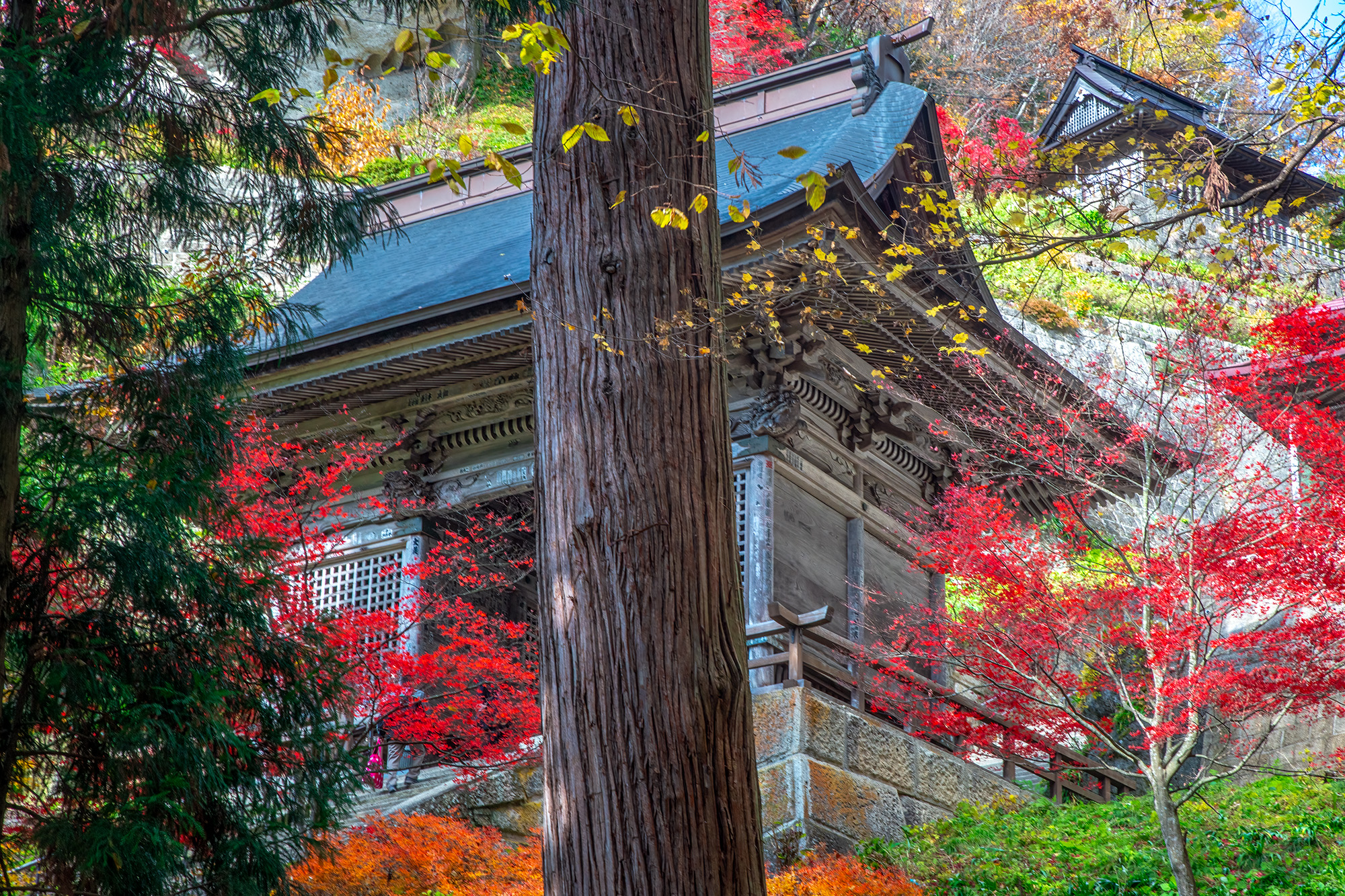 Autumn's Veiled Welcome: Yamadera's Hidden Temple This image, captured near Yamadera, Japan, offers a glimpse of a hidden temple, partly concealed by nature's vibrant tapestry...