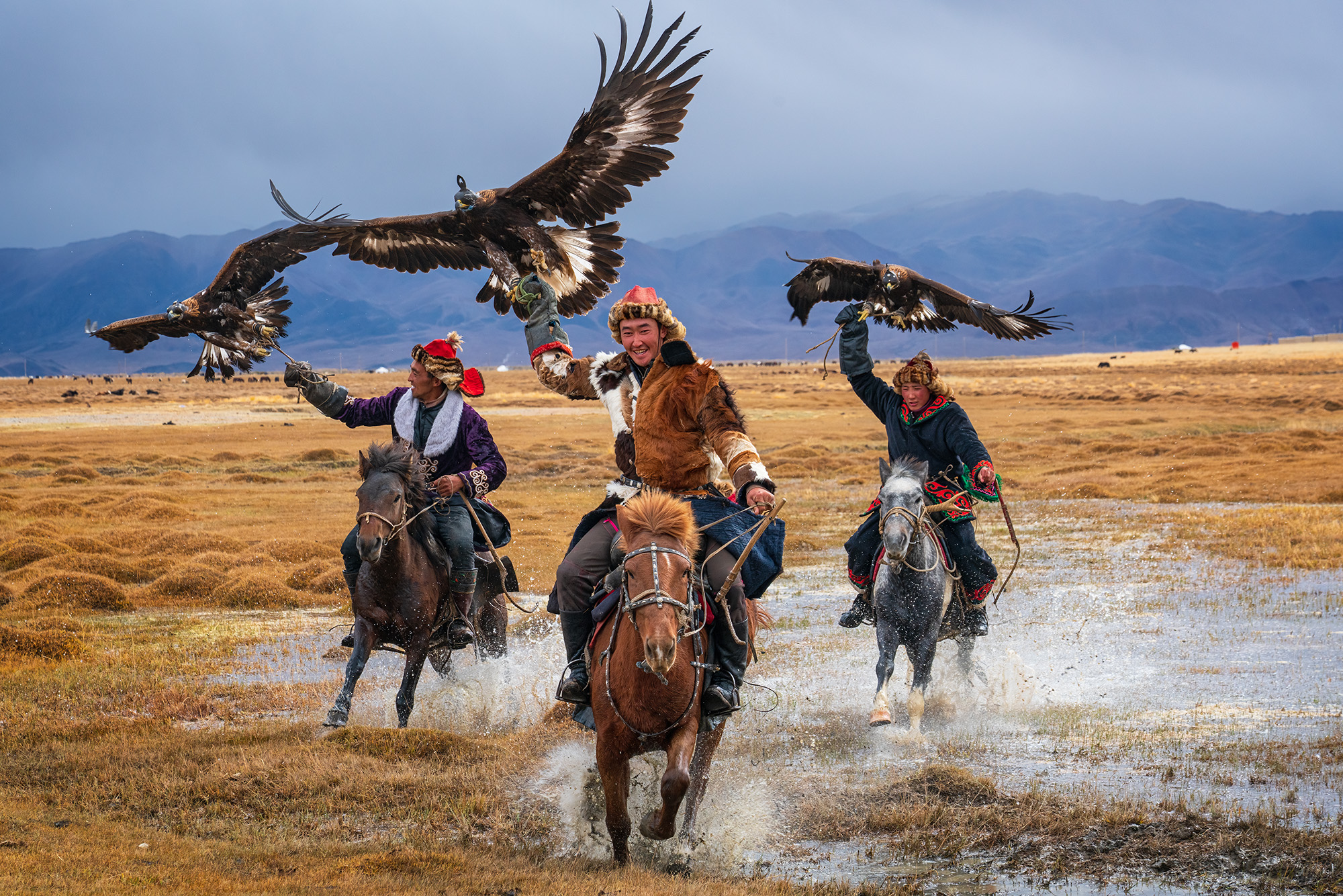 Galloping Eagle Hunters Collaborating with a group of Mongolian eagle hunters and their magnificent golden eagles in western Mongolia was an unforgettable...