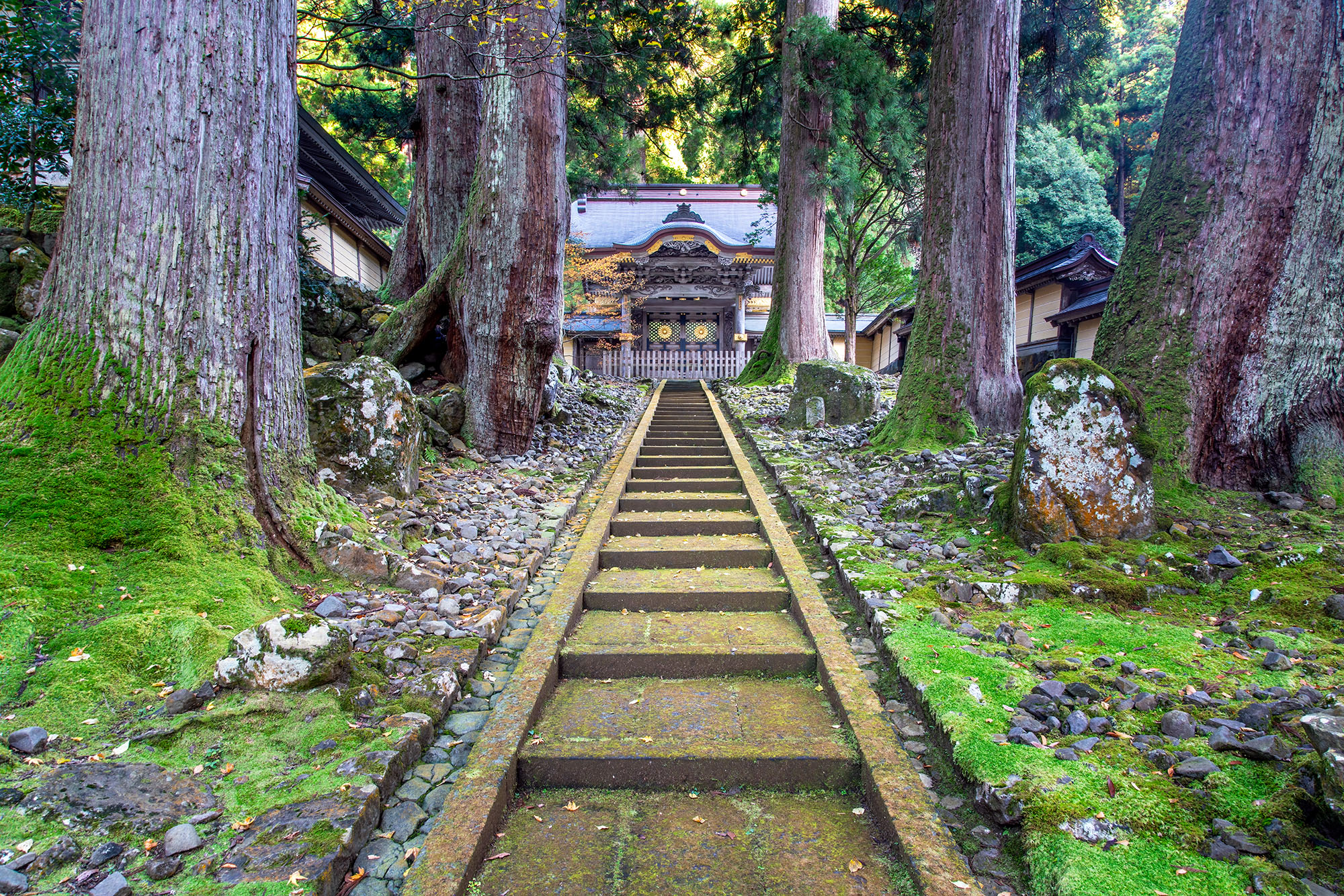 These age-worn stairs, nestled in the sacred Eiheji Temple area, beckon with a timeless charm. As they ascend, flanked by towering...