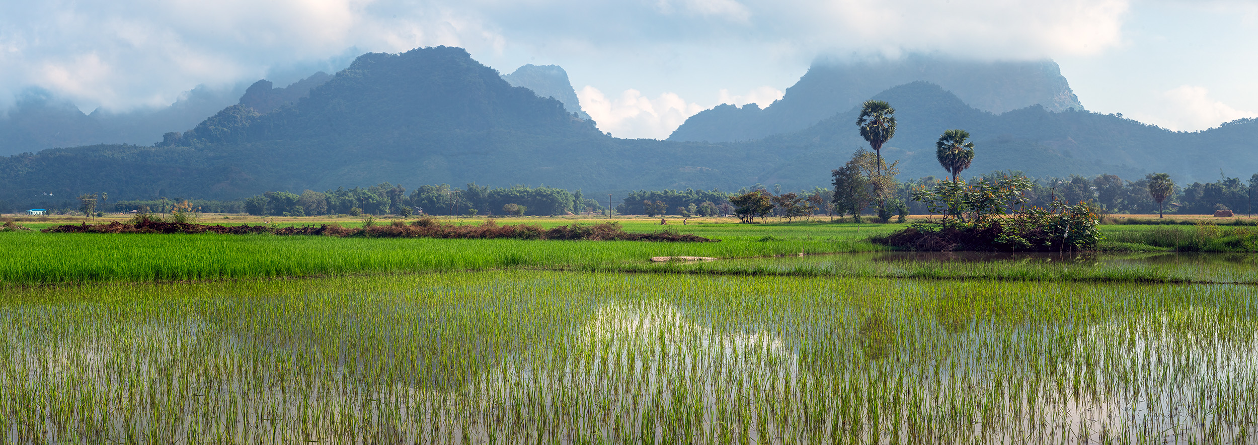 "Myanmar's Rural Tapestry" unveils the picturesque beauty of the countryside. In this panoramic scene, lush rice paddies stretch...