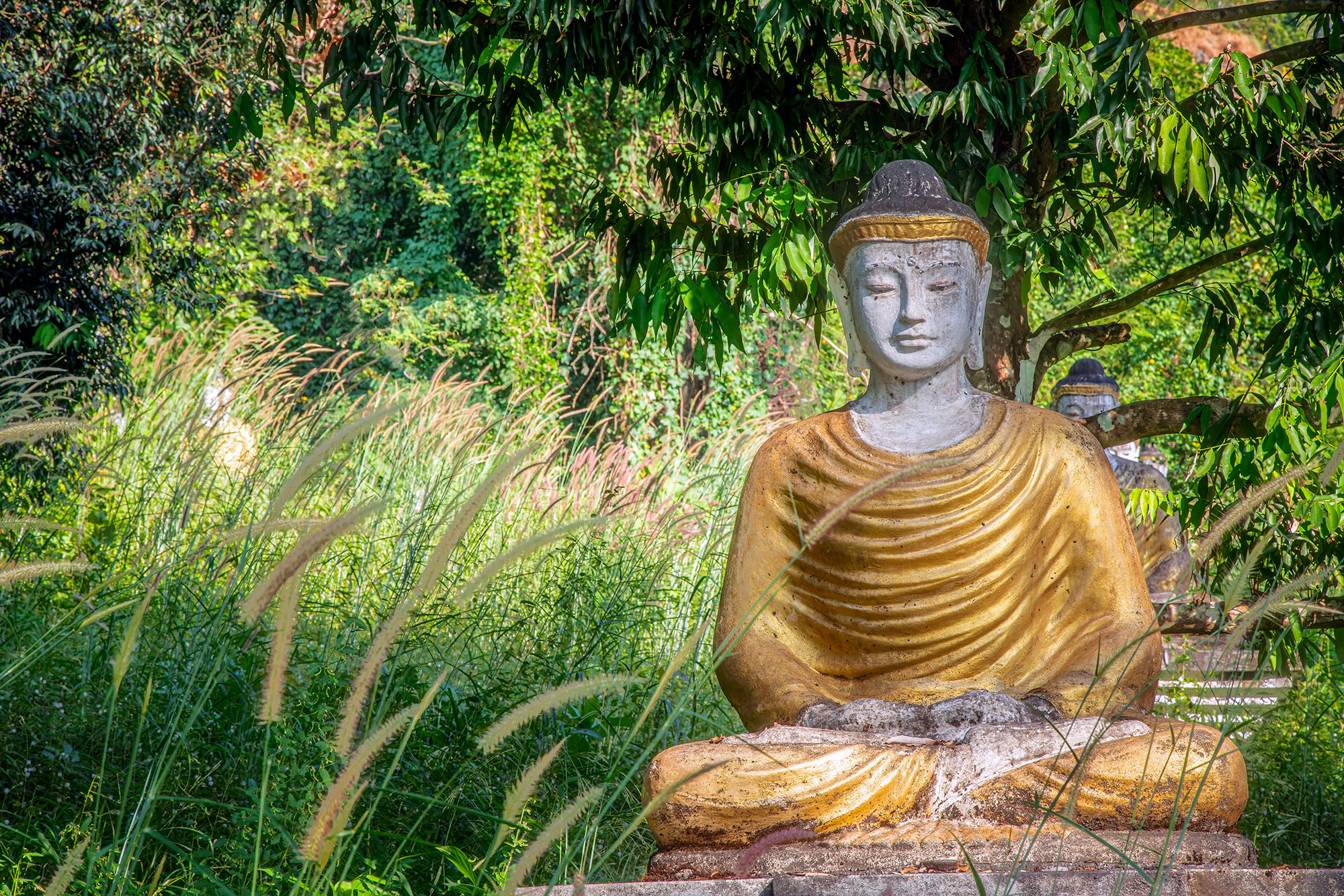 Tranquil Buddha in Nature's Embrace "Tranquil Buddha in Nature's Embrace" freezes a moment of serenity near Kyauk Ka Lat Pagoda in Hpa An, Myanmar. The focal point...