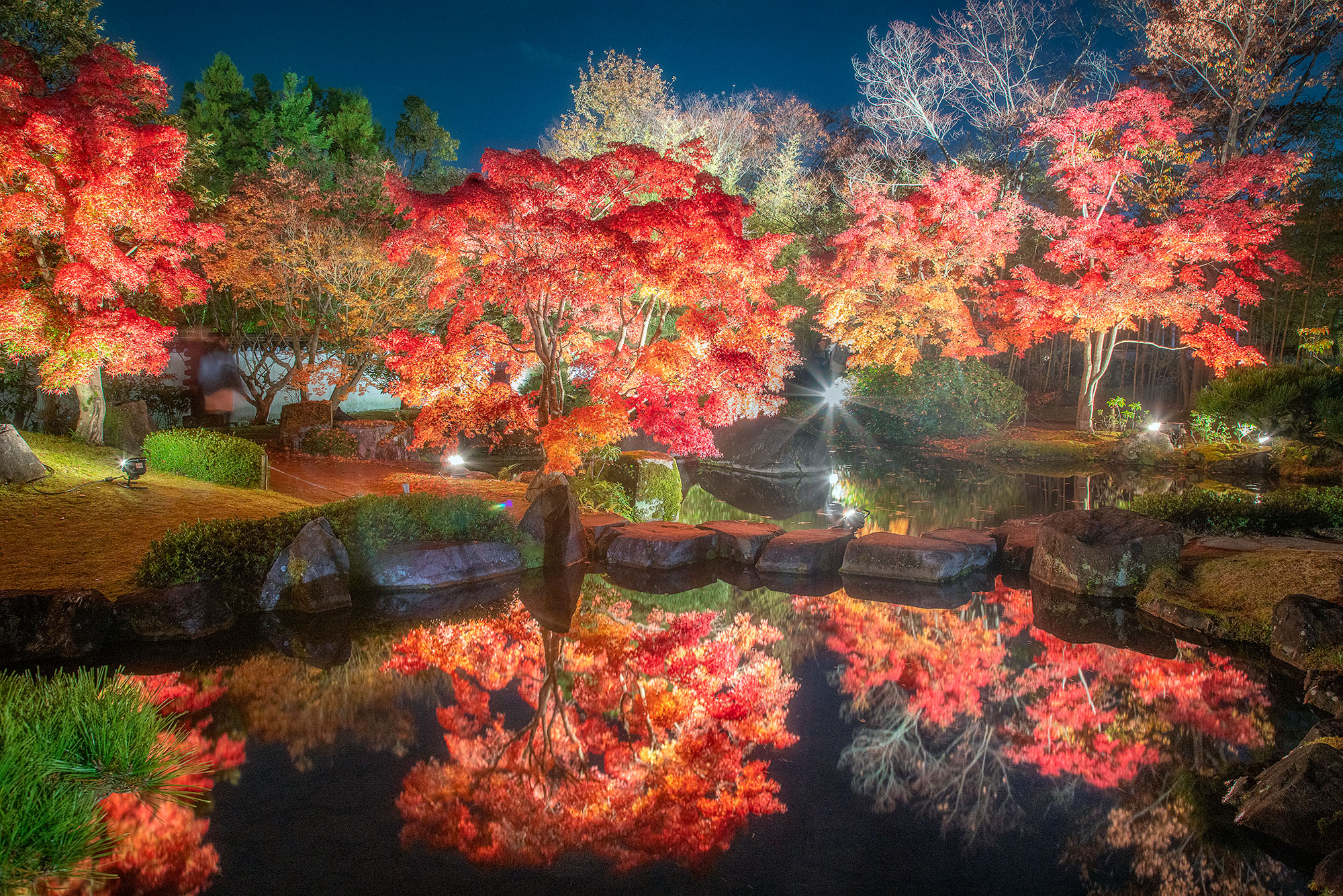 At the enchanting Koko-en Gardens in Himeji, Japan, I captured a fleeting moment of autumn magic. The gardens, usually reserved...