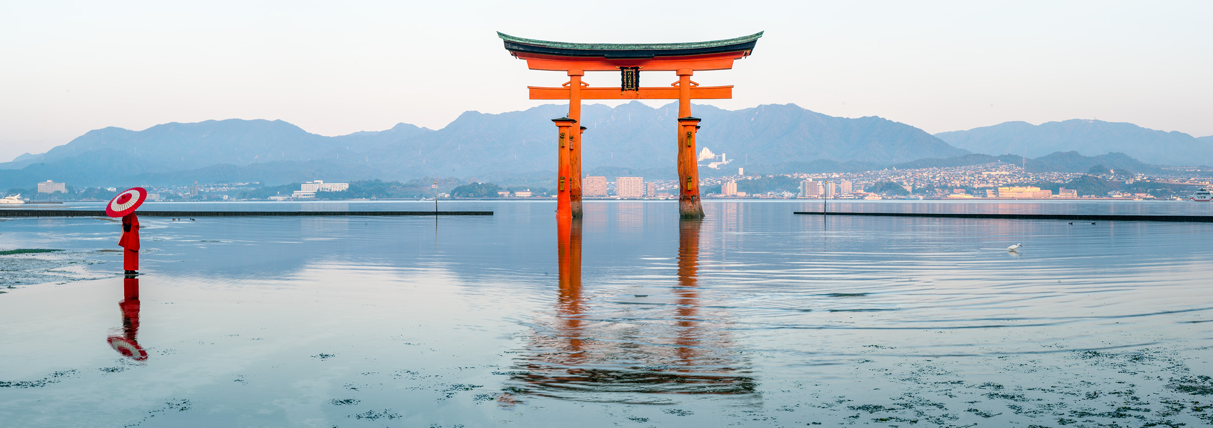 Dawning Friendship at Itsukushima Jinja Otorii In the early hours of the morning, I ventured to Itsukushima Shrine, seeking the Itsukushima Jinja Otorii at low tide. To my...