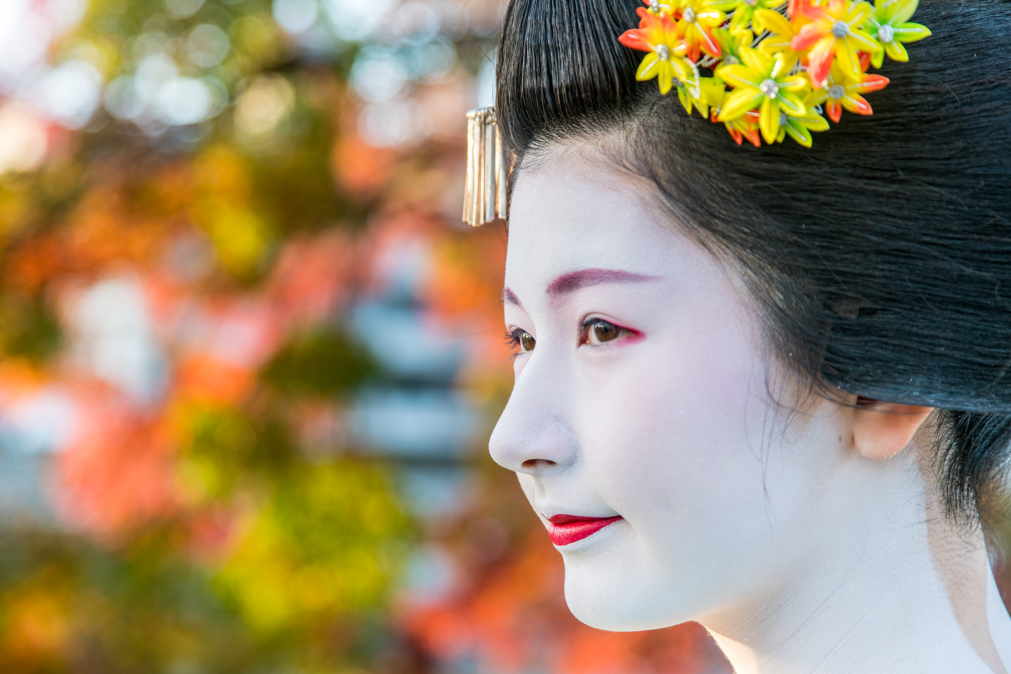Captured during the fall foliage season in Kyoto, Japan, this image showcases the exquisite beauty of a geisha. Adorned in traditional...