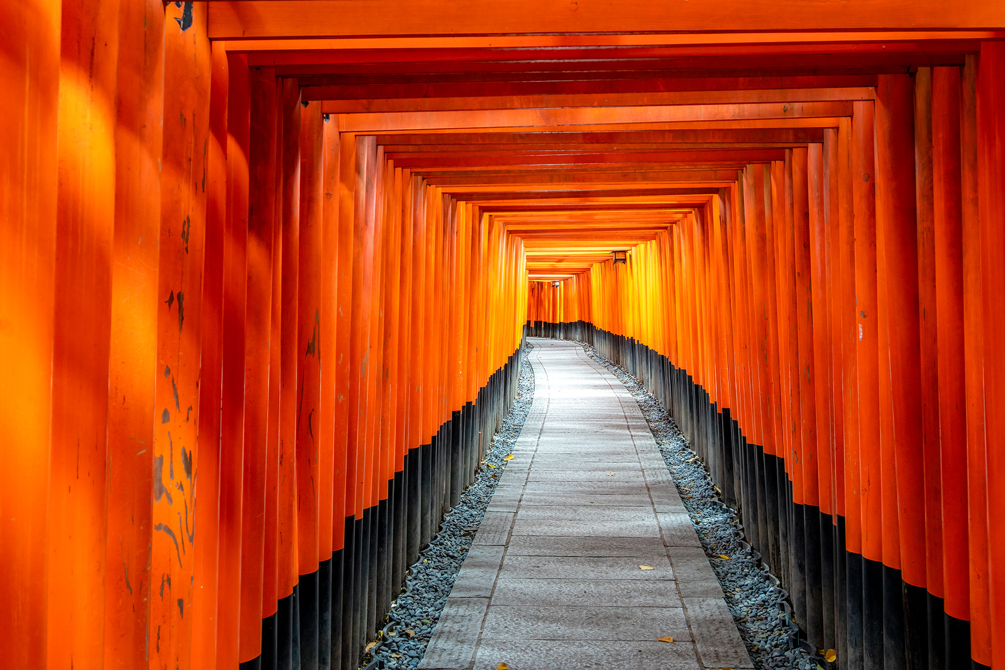 "Path of Unity" captures a harmonious spectacle at Fushimi Inari Temple, Japan. A convergence of meticulously aligned torii gates...
