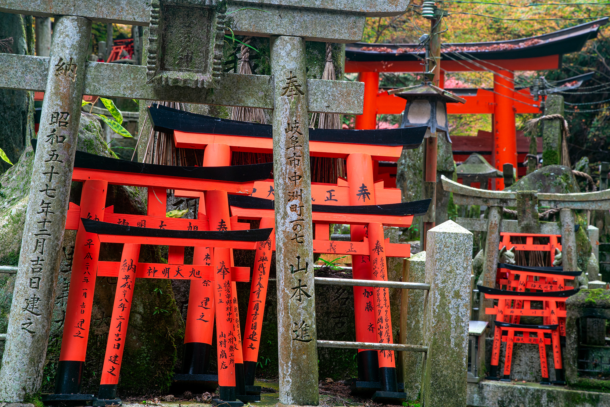 "Sacred Rest" captures the tranquility of a cemetery atop the Fushimi Inari trail in Japan. An array of small torii gates, some...