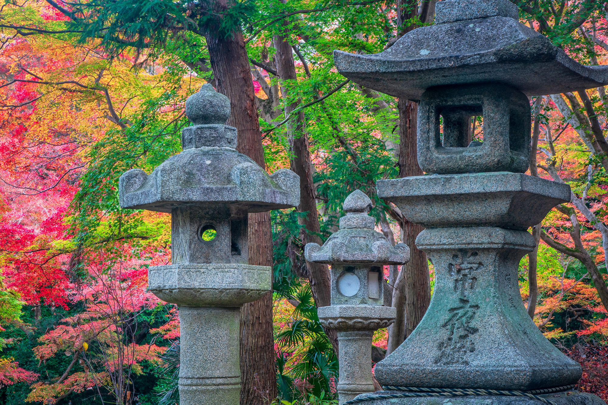 Foliage Symphony at Kiyomizu-dera Captured amidst the vibrant hues of Kyoto's fall foliage season, this image was taken within the grounds of Kiyomizu-dera Temple...