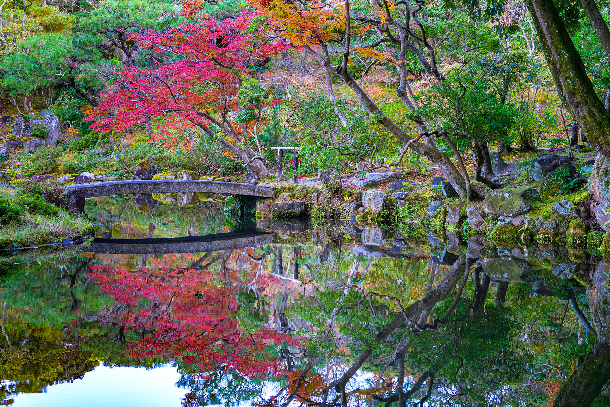 In the serene embrace of a Japanese garden near Nara, Japan, this image captures the essence of autumn's splendor. A picturesque...