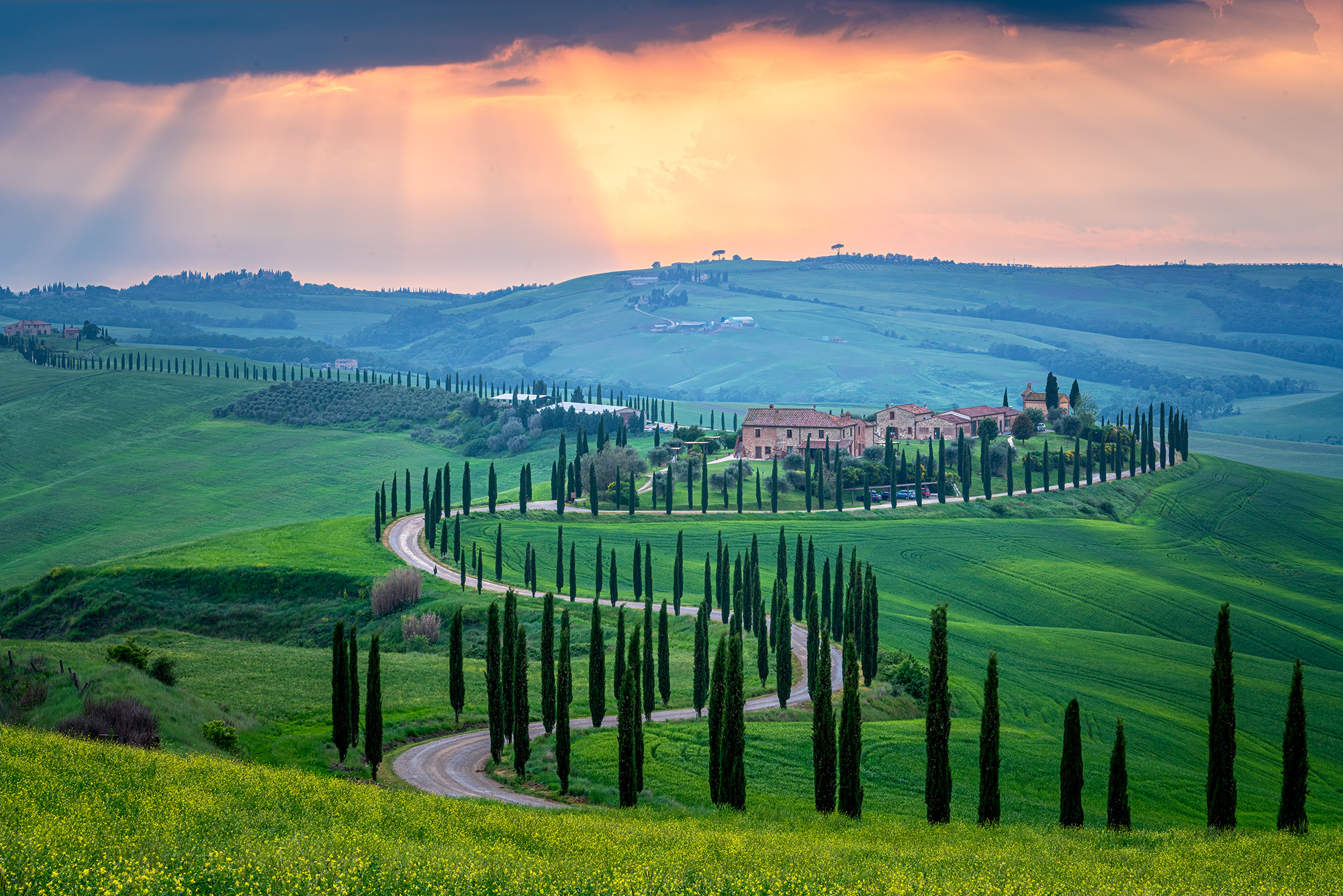 Taken during sunset in the rural Tuscan countryside, this image showcases the lush greenery and occasional fog characteristic...