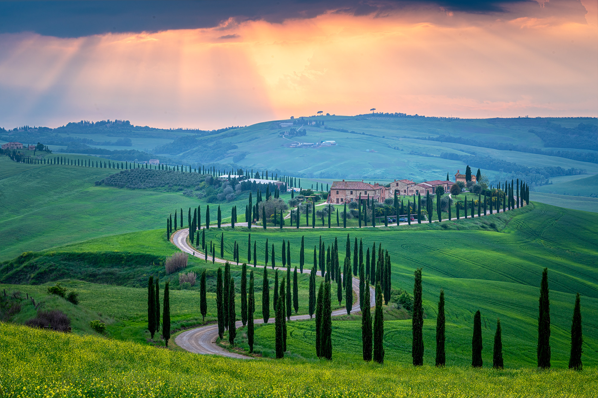 Villa at Sunset Taken during sunset in the rural Tuscan countryside, this image showcases the lush greenery and occasional fog characteristic...