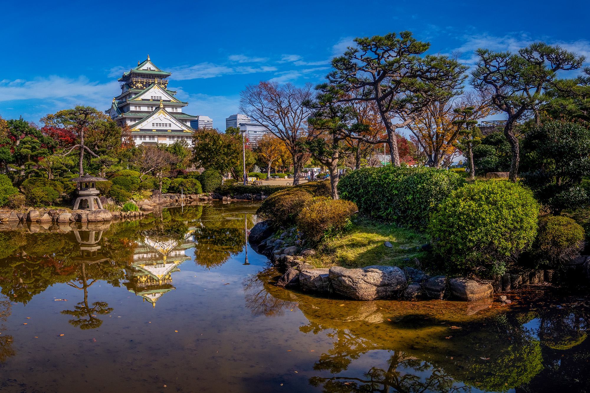 During the enchanting embrace of autumn, Osaka Castle emerges as a serene masterpiece of nature and history. This  image captures...