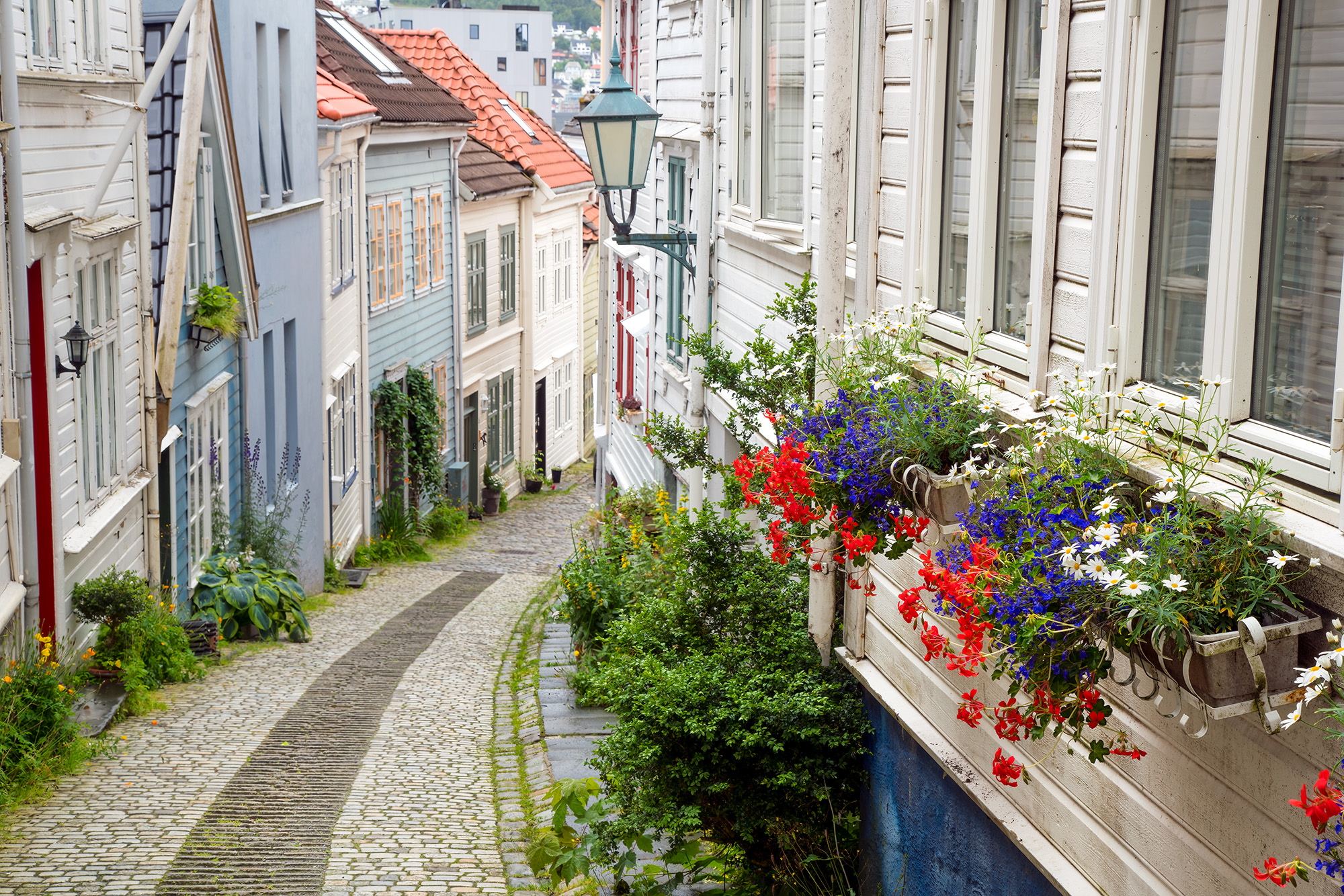 Captured in Bergen, Norway, this snapshot features a charming curved street flanked by rows of traditional homes. On the right...