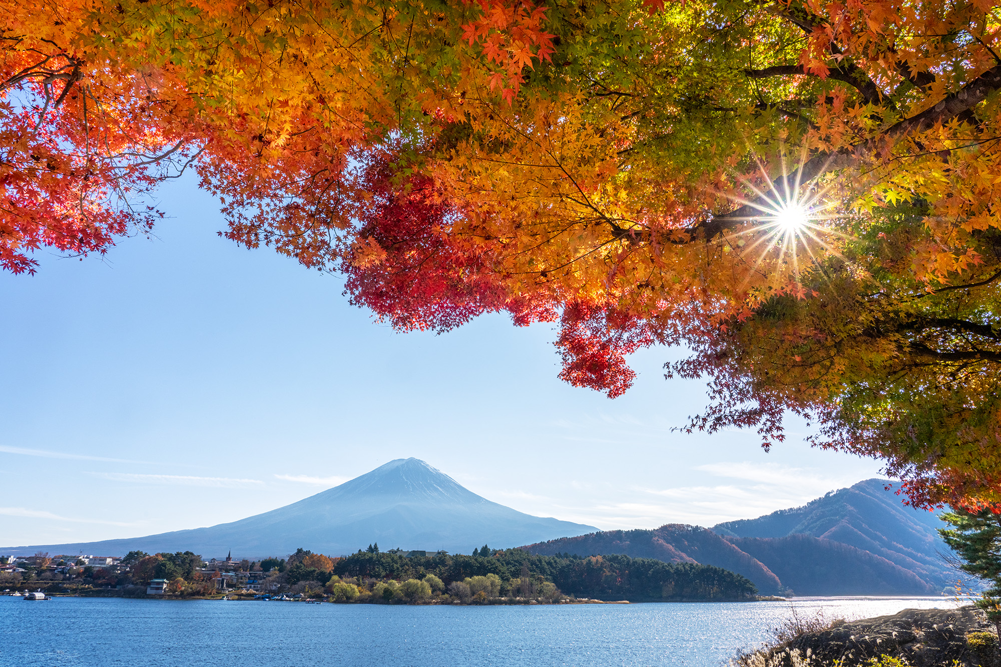 Mount Fuji and Fall Colors My long-held desire to witness Japan's magnificent fall colors with the iconic Mount Fuji as the backdrop was finally fulfilled...
