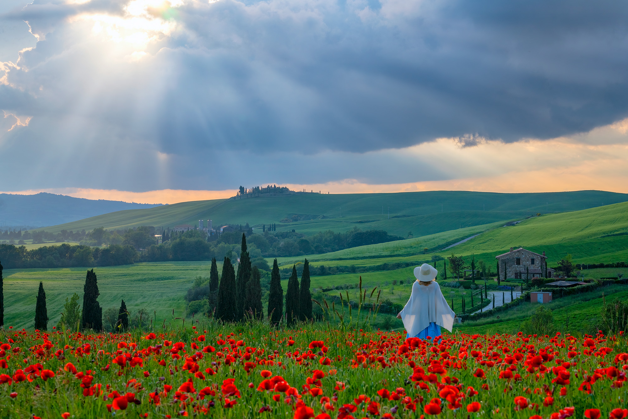 Maria, Poppies and a Burst of Sunlight In search of fields of poppies for Veronica, Daniel and I scoured all over Tuscany. Finally, in the afternoon, we stumbled upon...