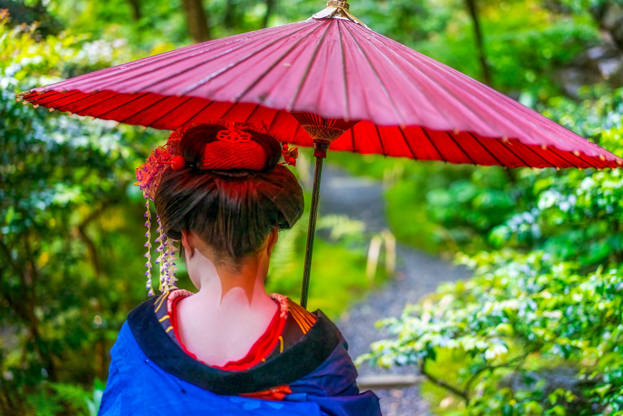 In this evocative image, a geisha gracefully navigates through a tranquil garden, her vibrant red umbrella shielding her from...
