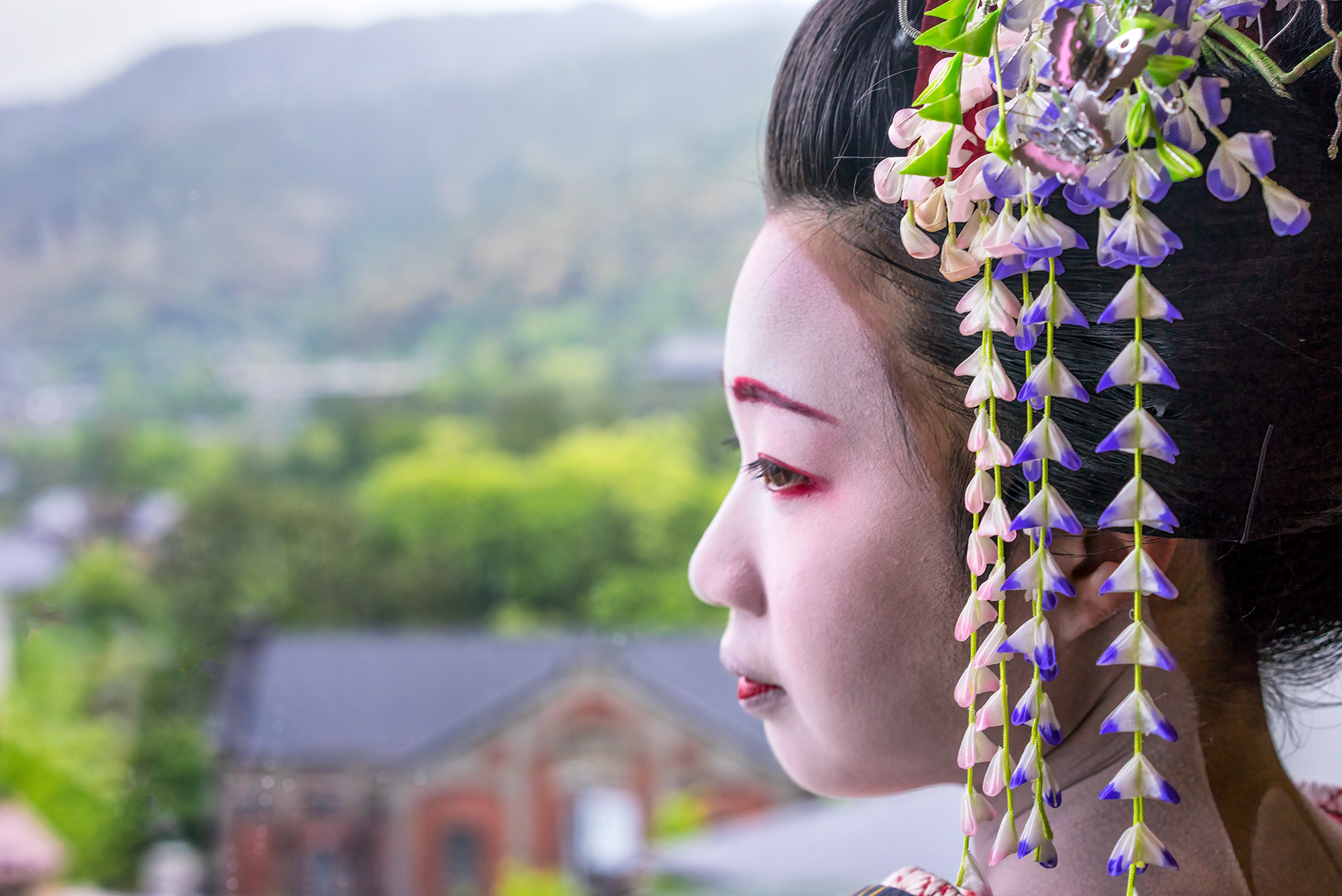 In this close-up, we peer into the intricate world of a young geisha. Her profile, adorned with meticulously arranged hair and...