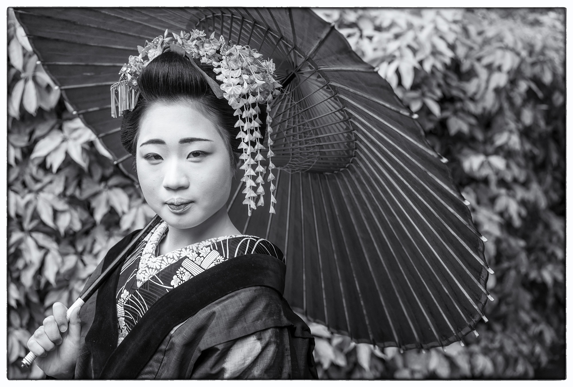 Elegance in Monochrome In this black and white photograph, a geisha takes center stage. She is impeccably adorned in traditional attire, her hair adorned...