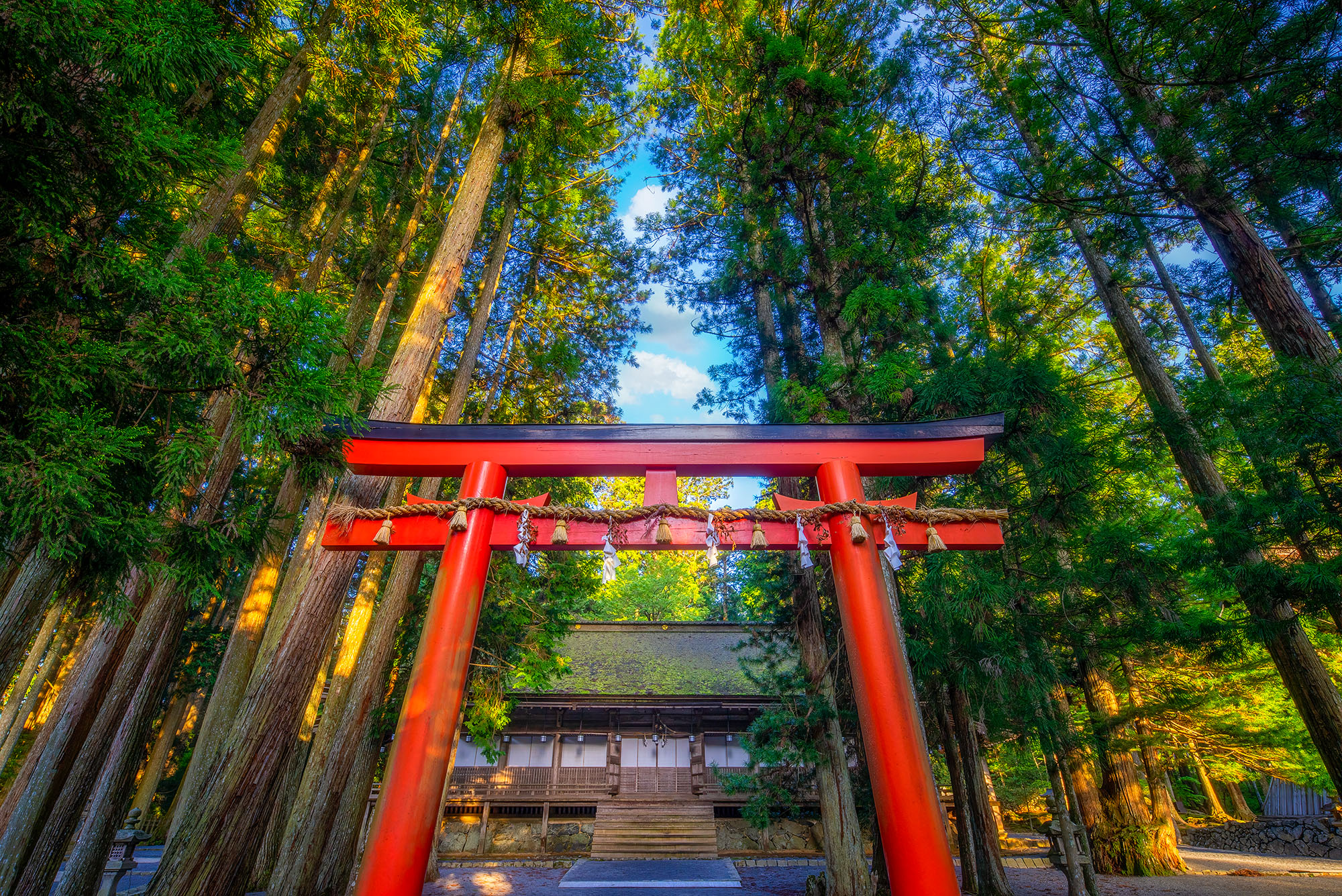 Captured from a unique perspective at ground level, this image unveils the essence of Koyasan's spiritual enclave. A red tori...