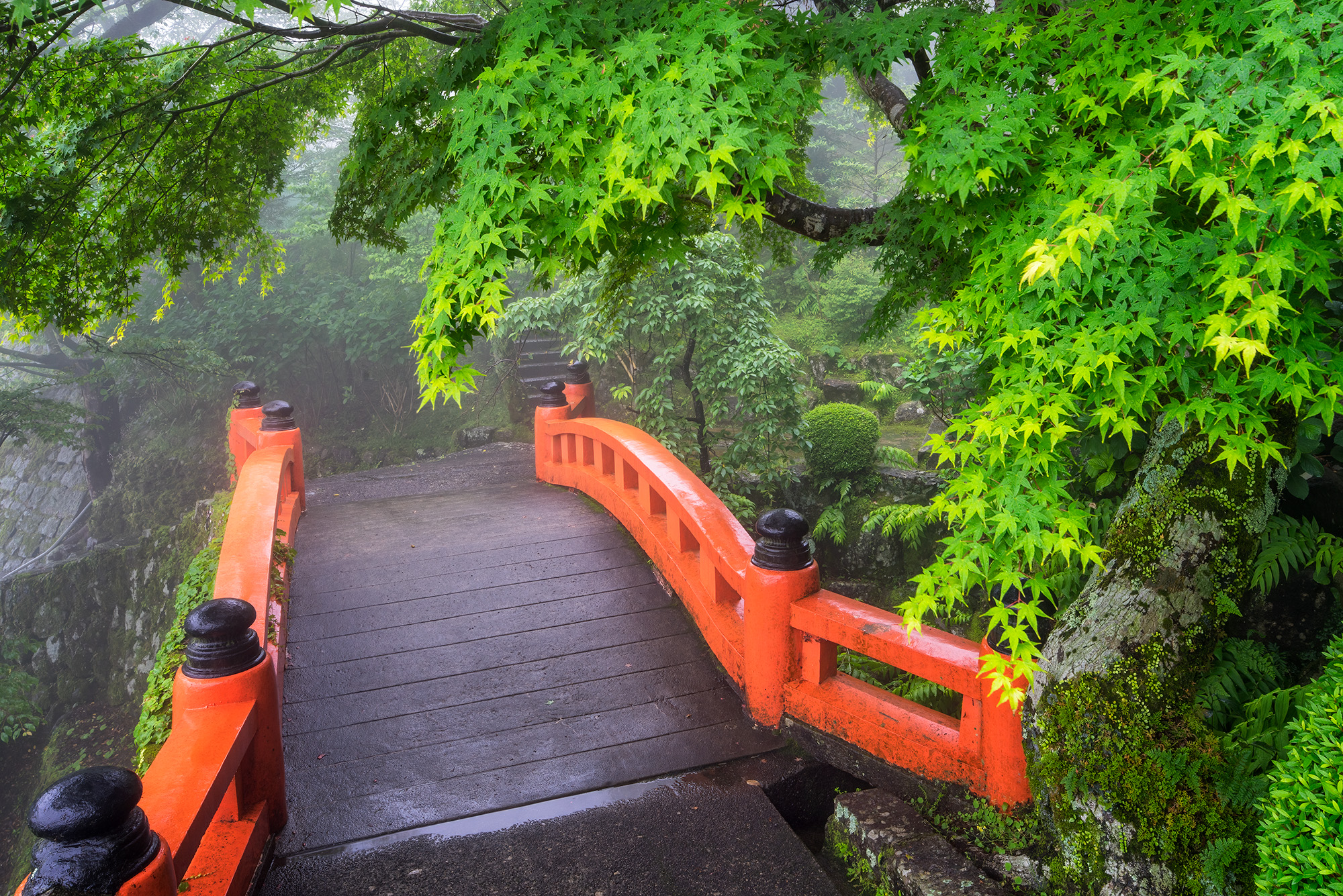Vivid Tranquility: Seiganto-ji Temple Bridge in the Rain In the midst of a gentle rain at Seiganto-ji Temple in Nachisan, Japan, this image paints a vivid picture of tranquility. The...
