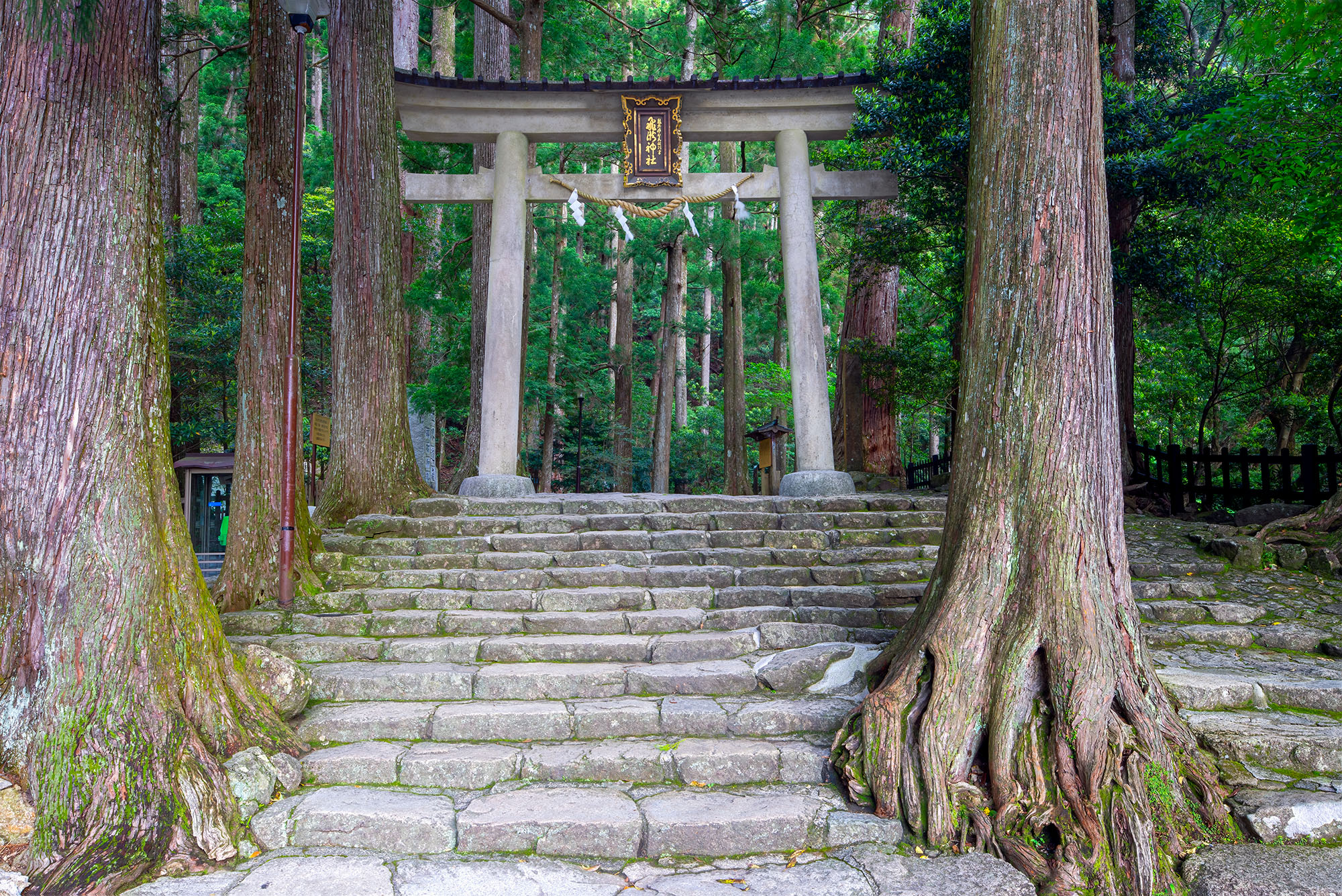Amidst the Ancient Trees: Seiganto-ji's Stone Torii Gate Captured within the serene grounds of Seiganto-ji Temple in Nachisan, Japan, this image reveals a stone torii gate nestled among...