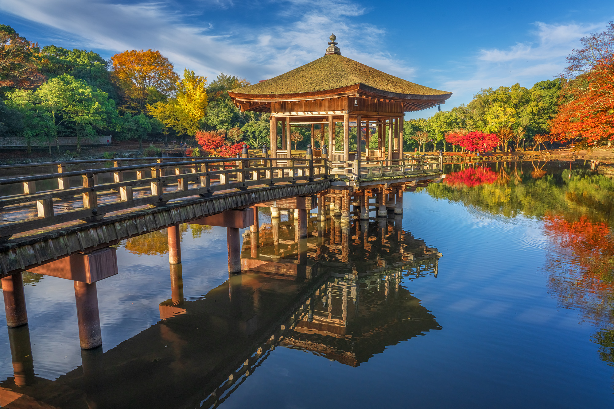 Autumn's Tranquil Haven In a picturesque scene of seasonal splendor, "Autumn's Tranquil Haven" unfolds. Centered amidst nature's grandeur stands a charming...