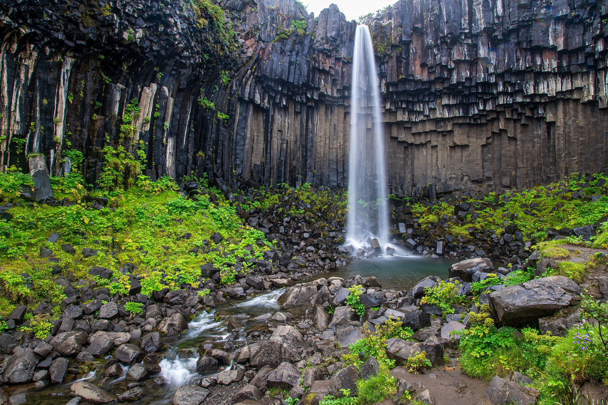 This image captures the grandeur of Svartifoss waterfall in Skaftafell National Park, Iceland. Presented in a horizontal composition...