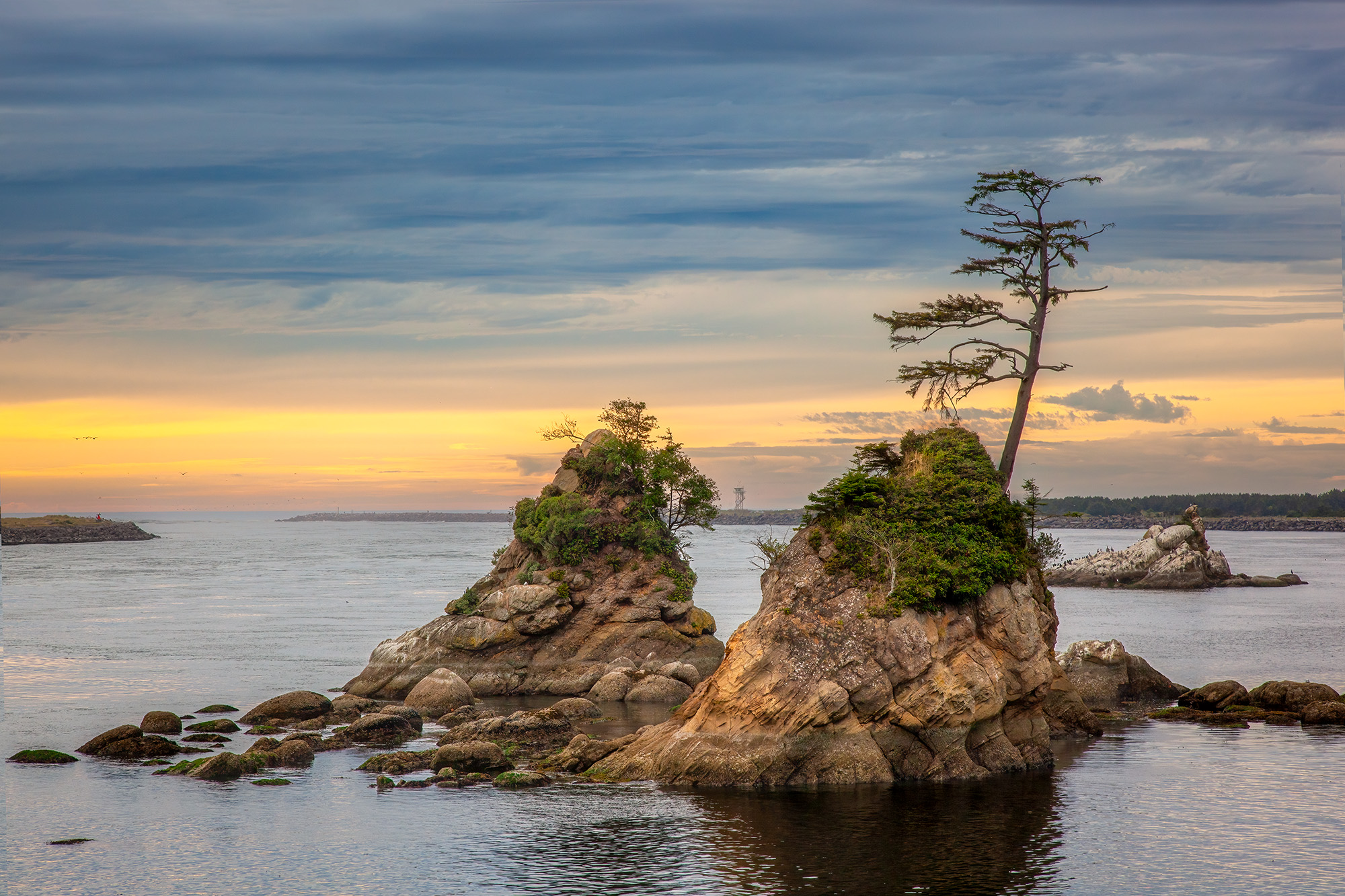 Three Graces: Rugged Coastal Majesty This image showcases the iconic Three Graces rock formations on the coast of Garibaldi, Oregon, at sunset. The Three Graces...