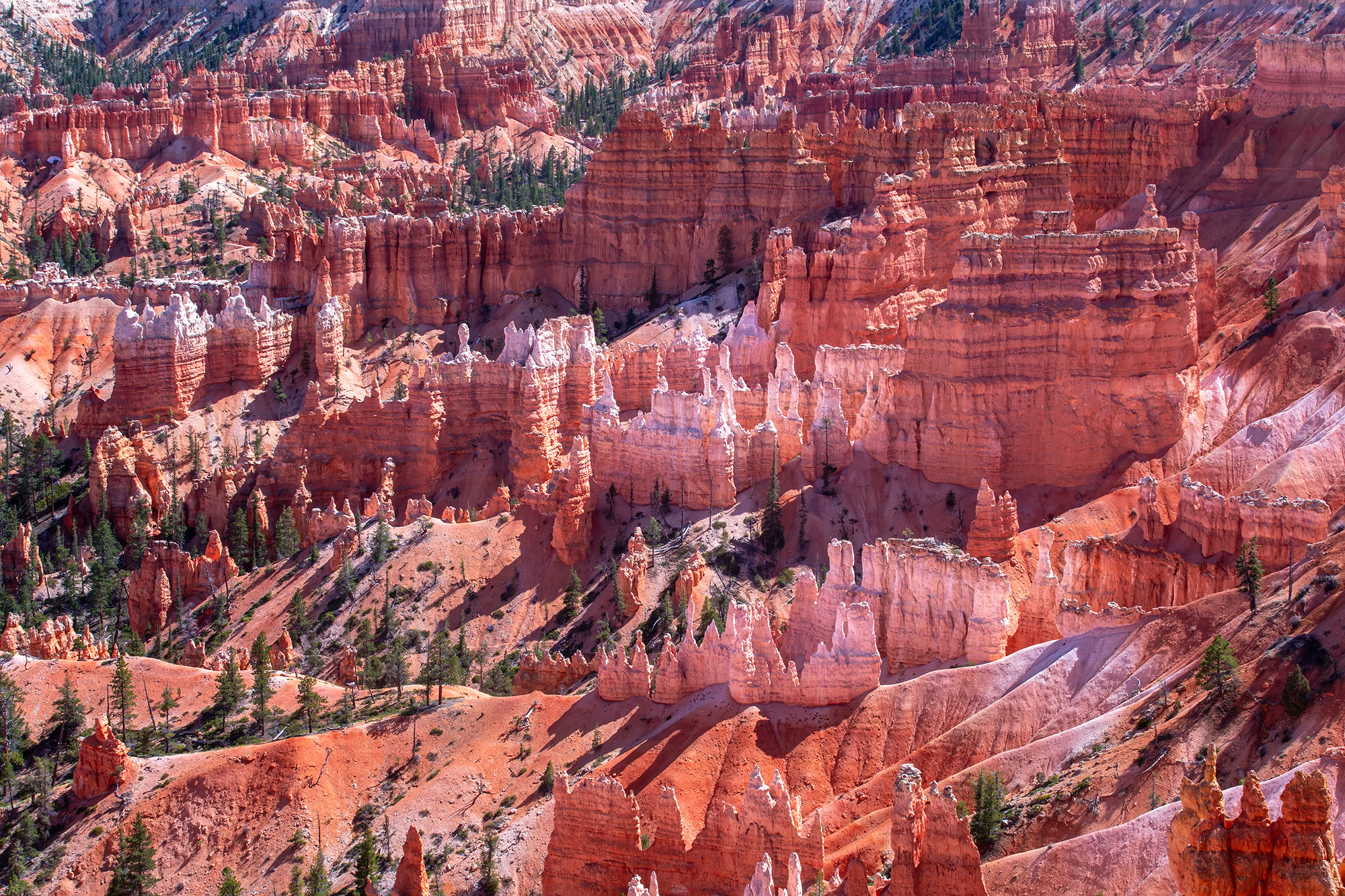 Bryce Canyon's Layered Majesty Captured from the Sunrise Viewpoint in Bryce Canyon National Park, this image, "Bryce Canyon's Layered Majesty," reveals the...