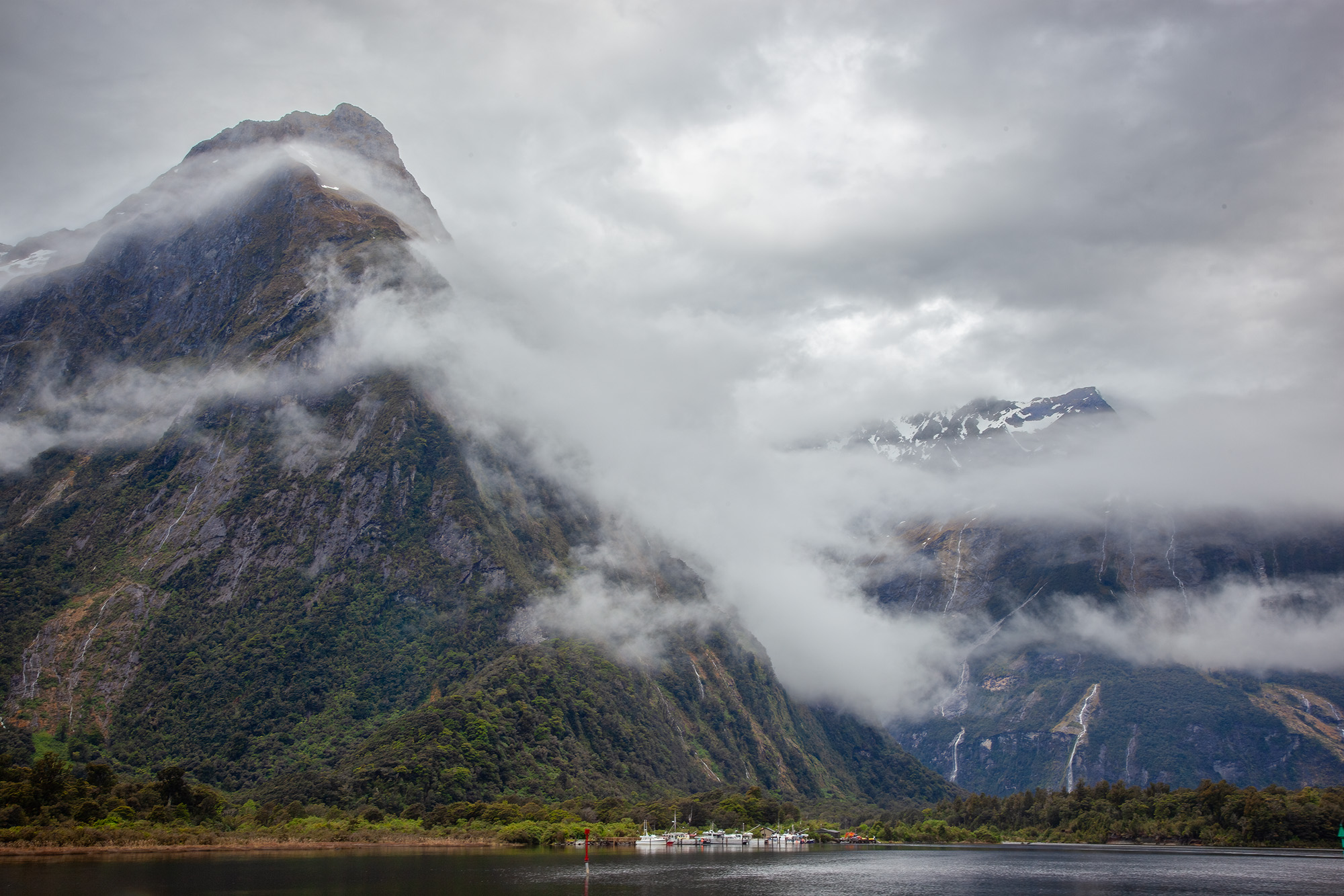 On a gray and overcast day in Milford Sound, New Zealand, this image unveils the grandeur of nature. Towering mountains shrouded...