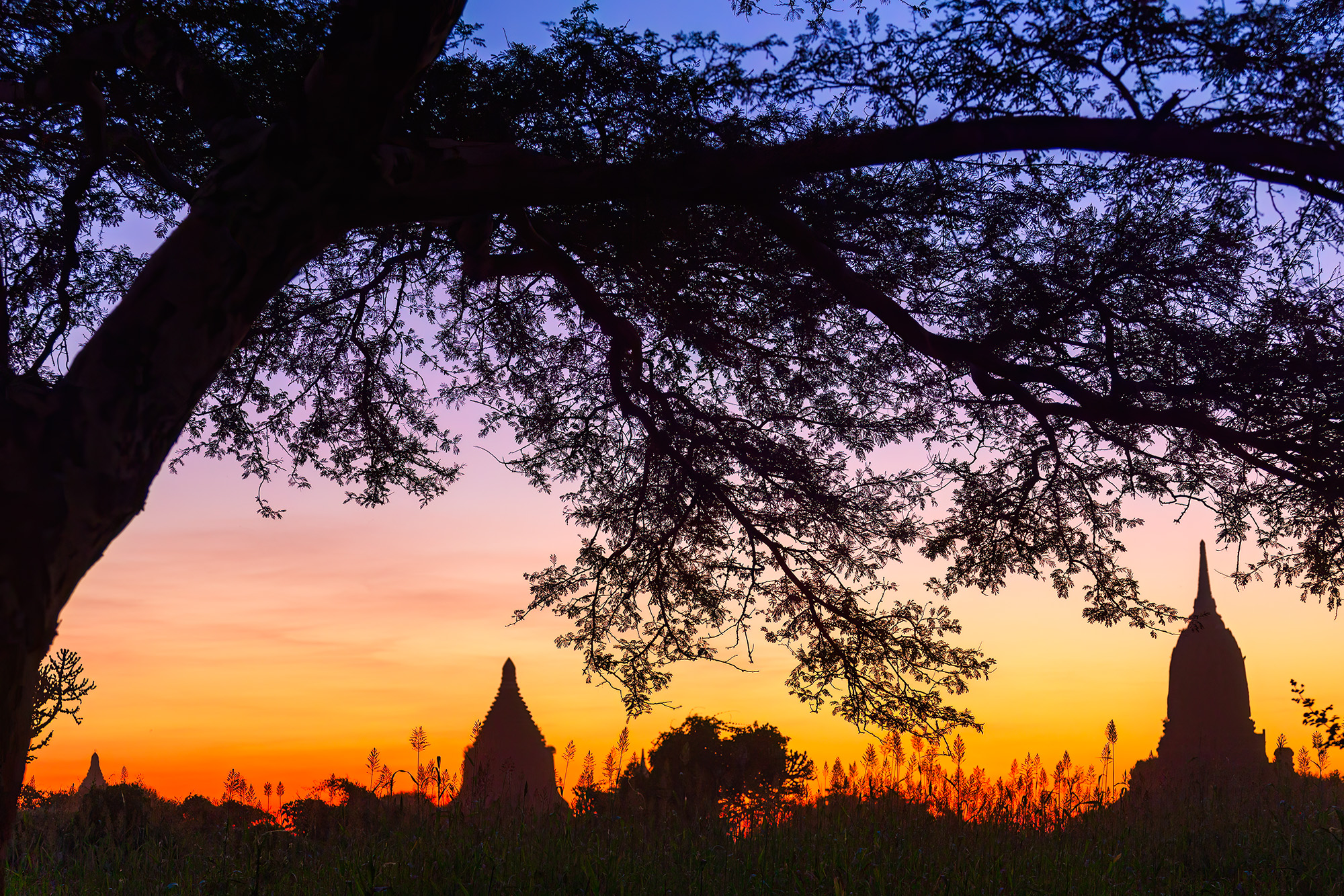 Sunset's Radiant Palette In this captivating sunset image, a serene silhouette takes center stage in the upper portion, while the lower third reveals...