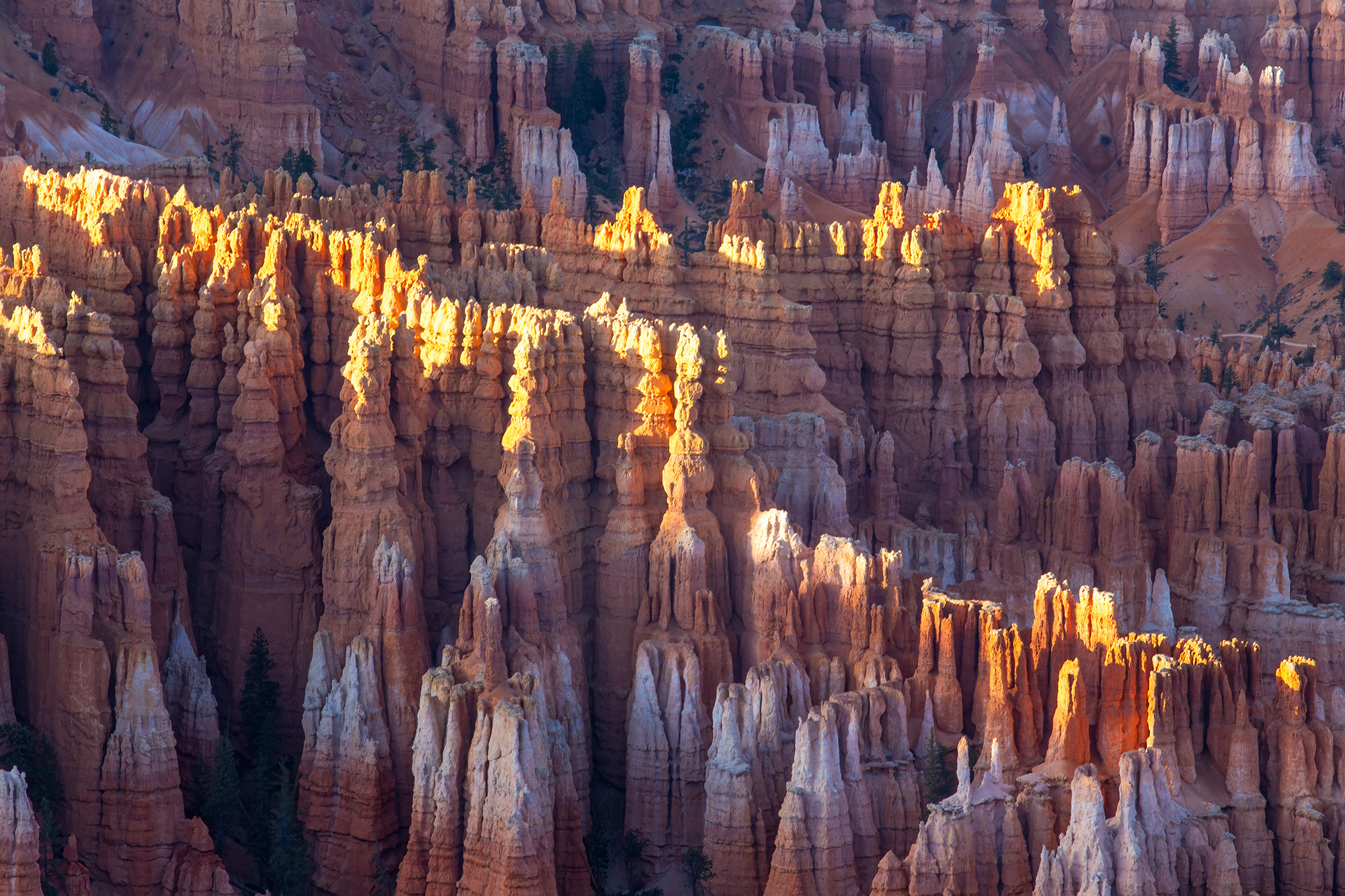 Hoodoo Heights Captured in Bryce Canyon National Park, Utah, "Hoodoo Heights" showcases the distinctive spires known as hoodoos that make this...