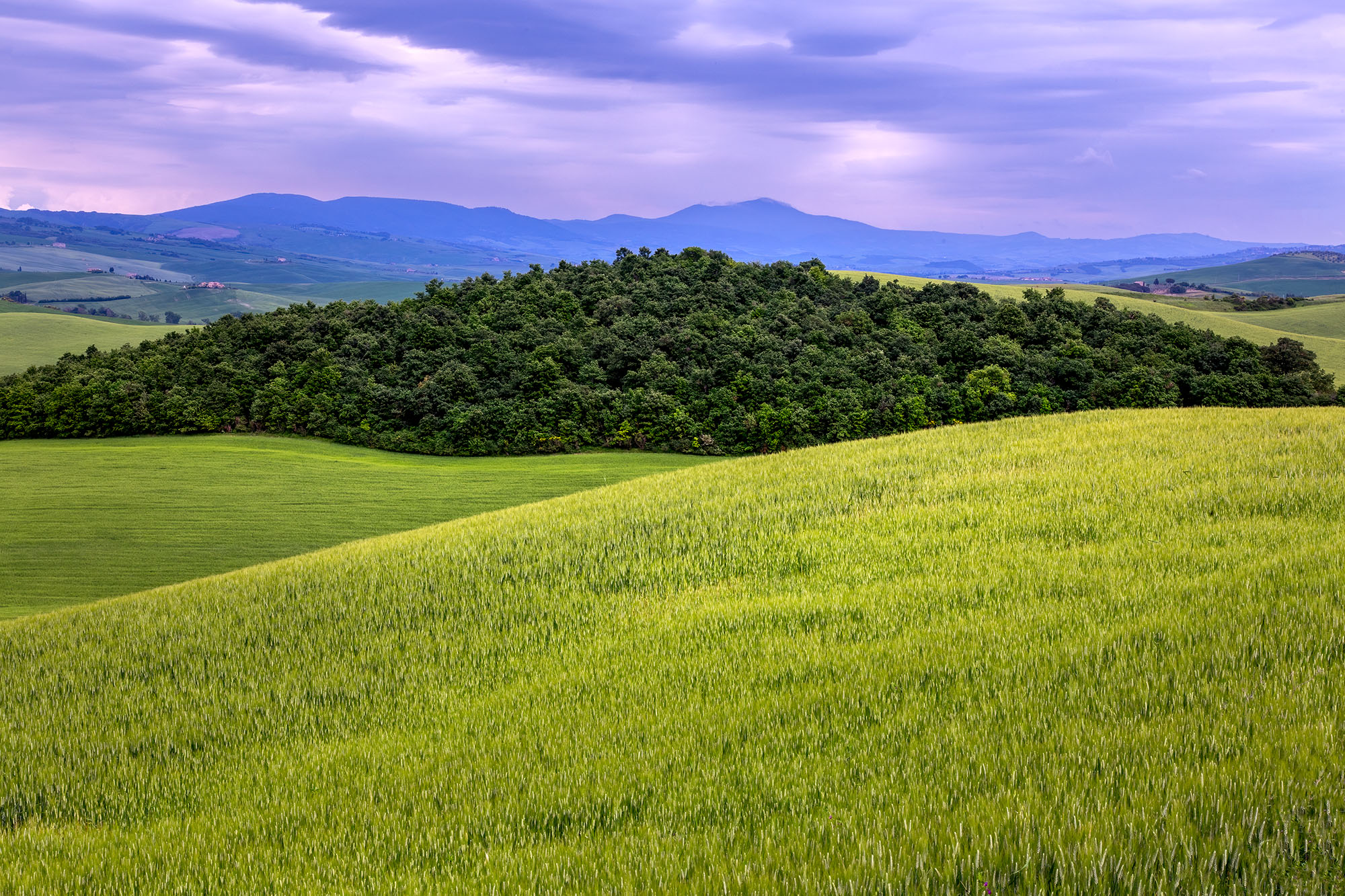 In this image, the Tuscan landscape unfurls its springtime charm. Rolling hills dressed in vibrant green stretch as far as the...