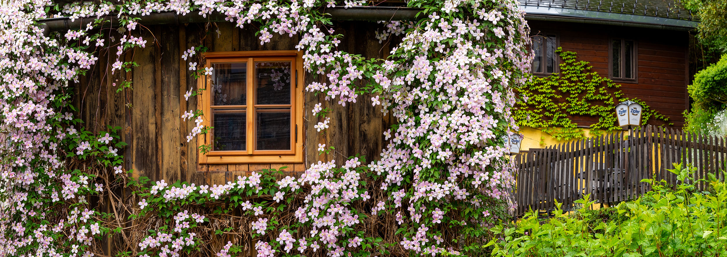 Halstatt's Enchanted Garden Nook pano, panoramic, halstatt, austria
