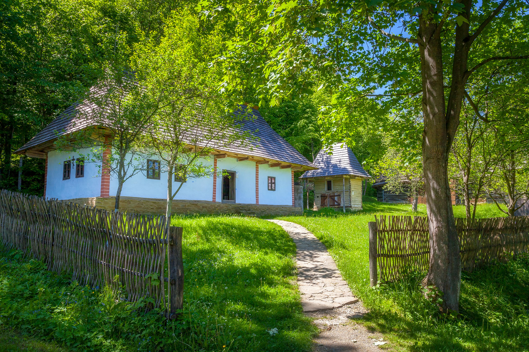 Captured from Bardejov Spa's Saris Museum, this image unveils a rustic peasant home nestled under a verdant tree canopy, visible...