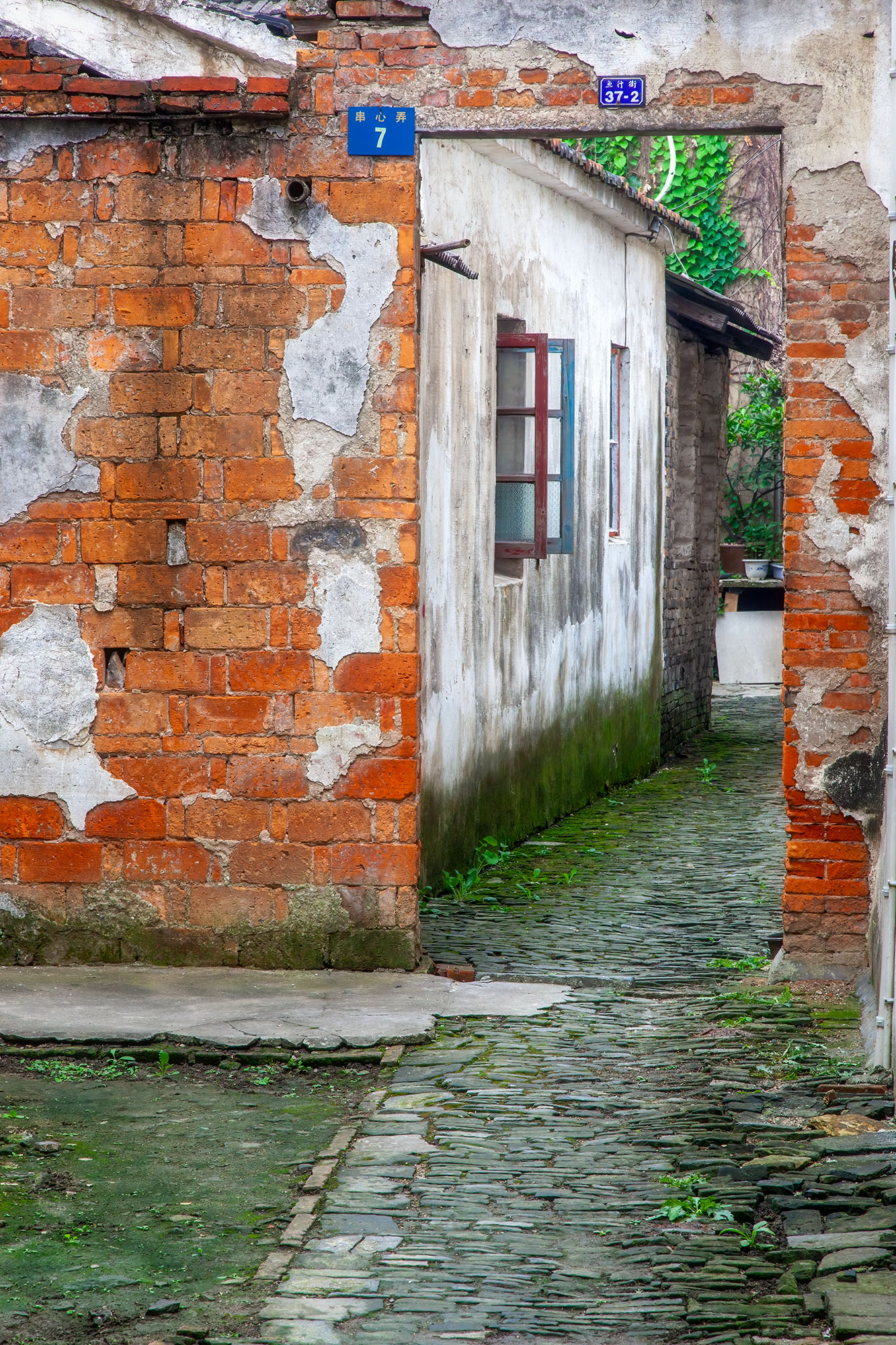 Wandering Through Tongli This glimpse of Tongli, China, reveals its timeless essence. Meandering pathways wind through the ancient town, leading the way...