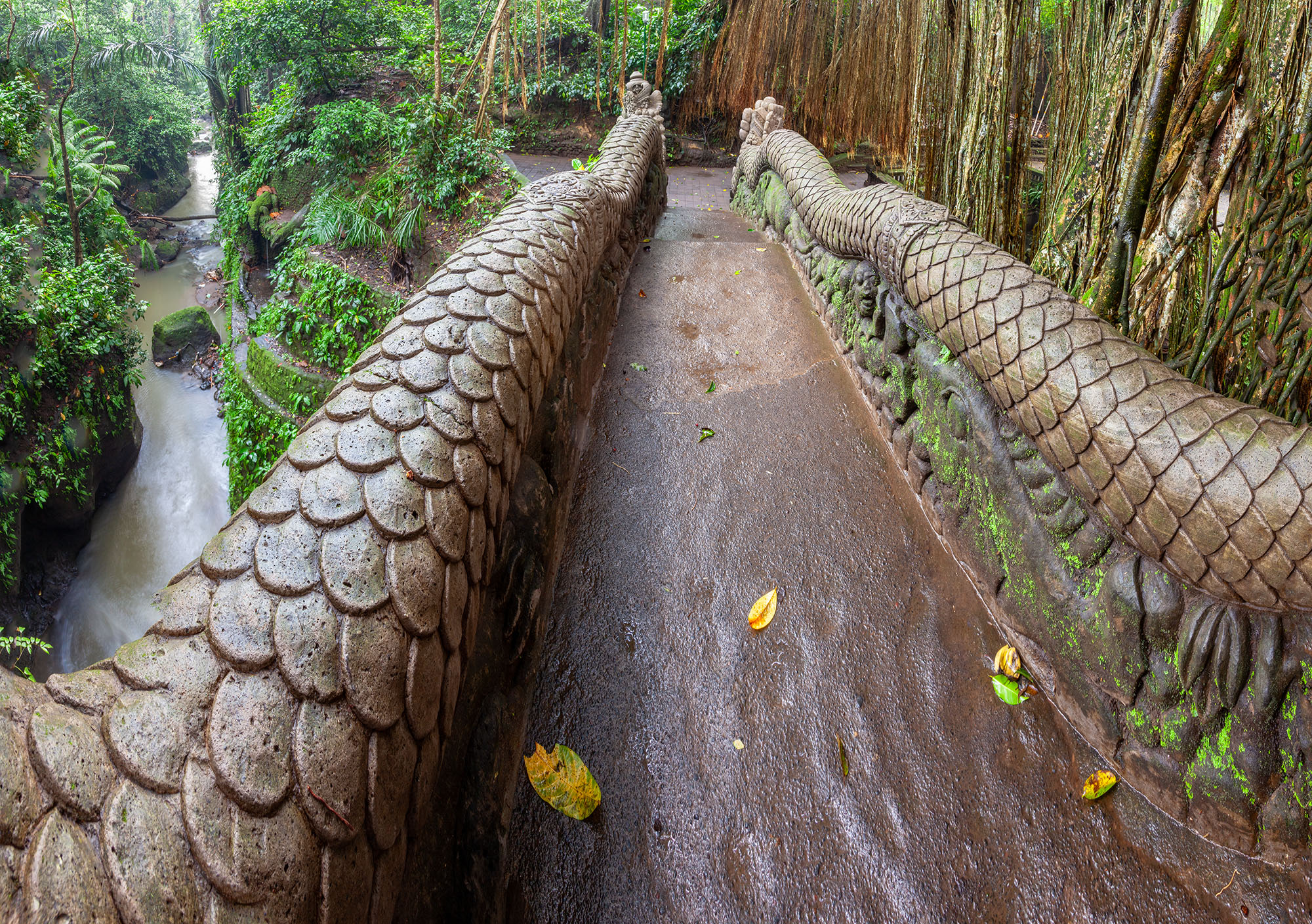 This image captures the Dragon Bridge in Ubud, Bali, from the perspective of crossing it. As you traverse the bridge, the lush...