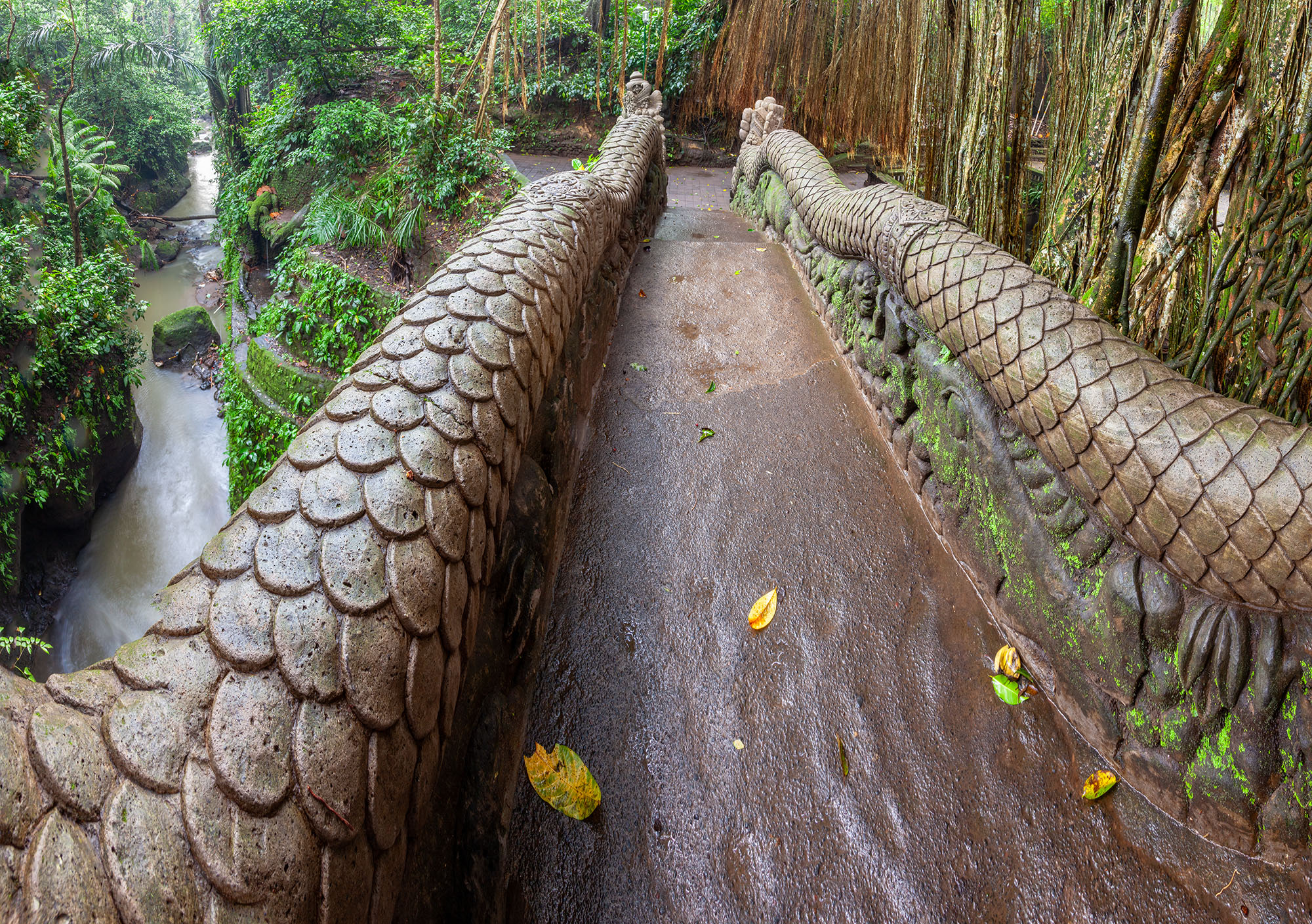 Crossing the Dragon Bridge in Bali This image captures the Dragon Bridge in Ubud, Bali, from the perspective of crossing it. As you traverse the bridge, the lush...