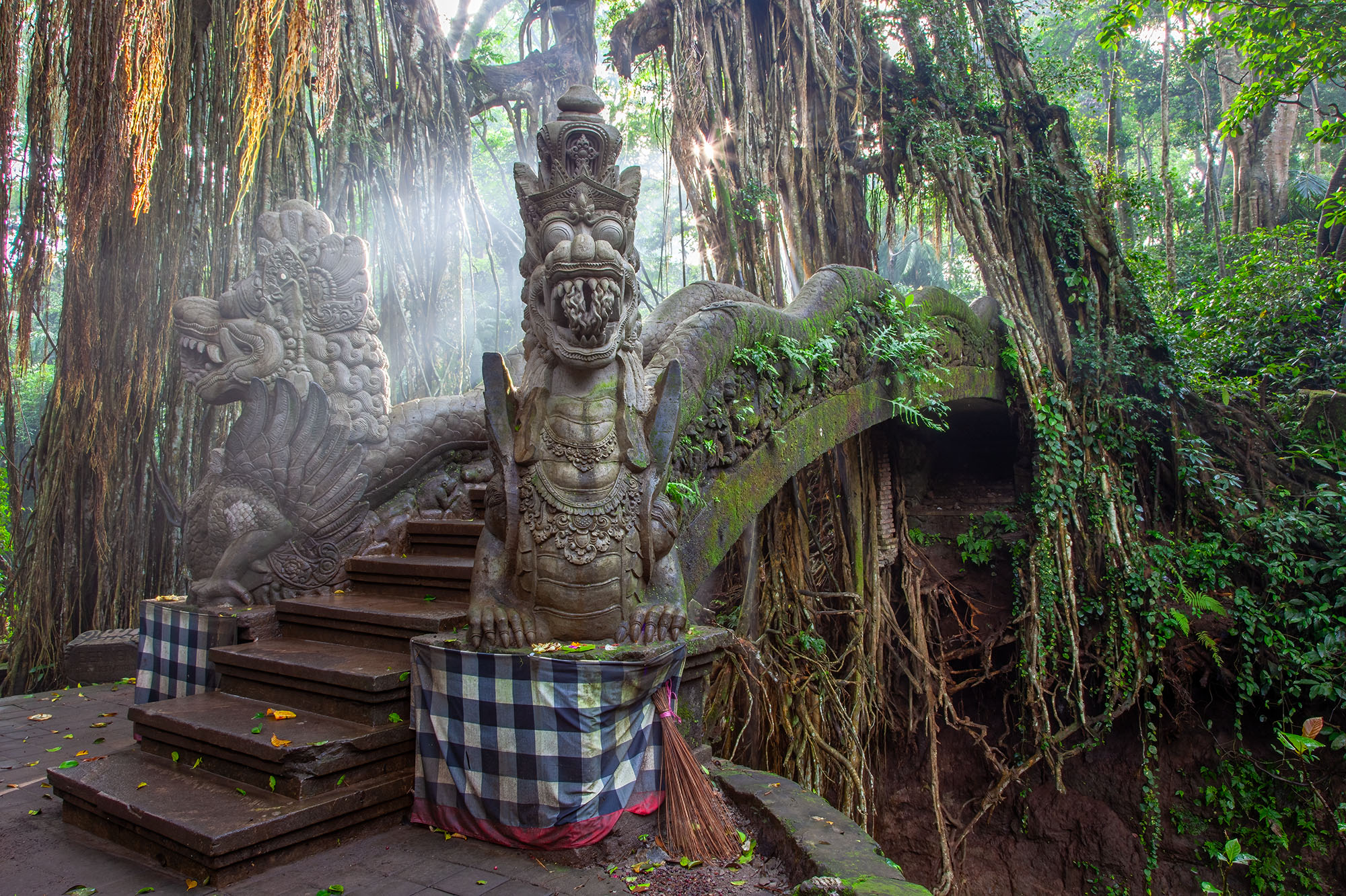 Dragon Bridge Ubud's forest teems with countless mischievous monkeys, necessitating constant vigilance over belongings as they are prone to...