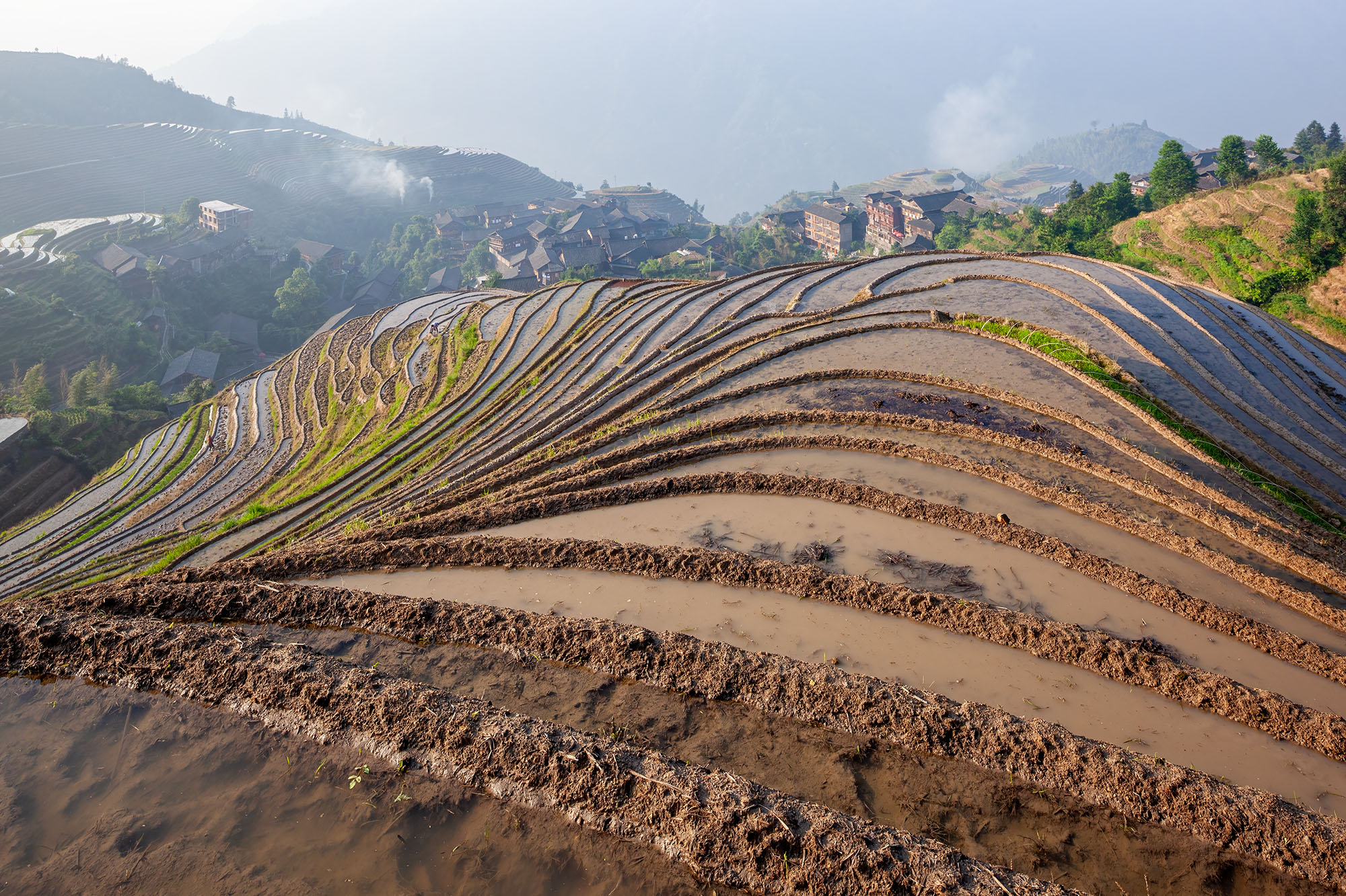 This photograph captures the groundwork in progress at the Longji Rice Terraces in Ping'an, Guangxi, China. In the foreground...