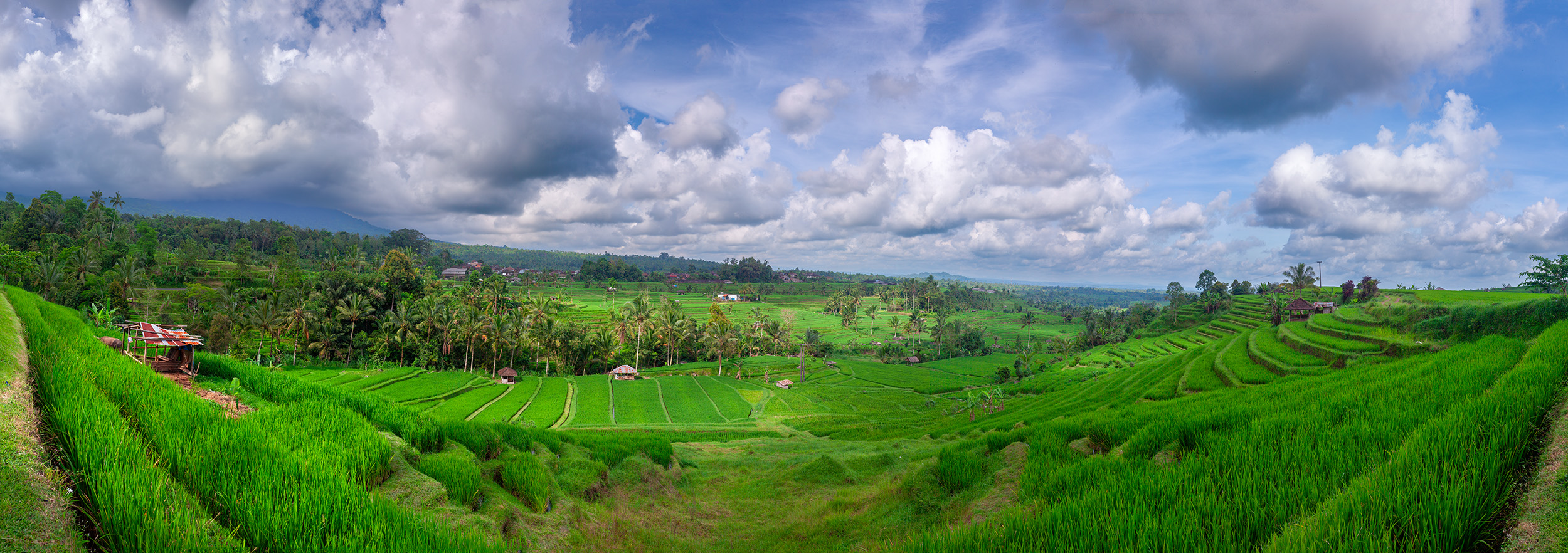 Bali's Green Rice Terraces Under Stormy Skies This panoramic image showcases the vibrant green rice terraces of Bali, Indonesia. The terraces stretch endlessly, blanketed...