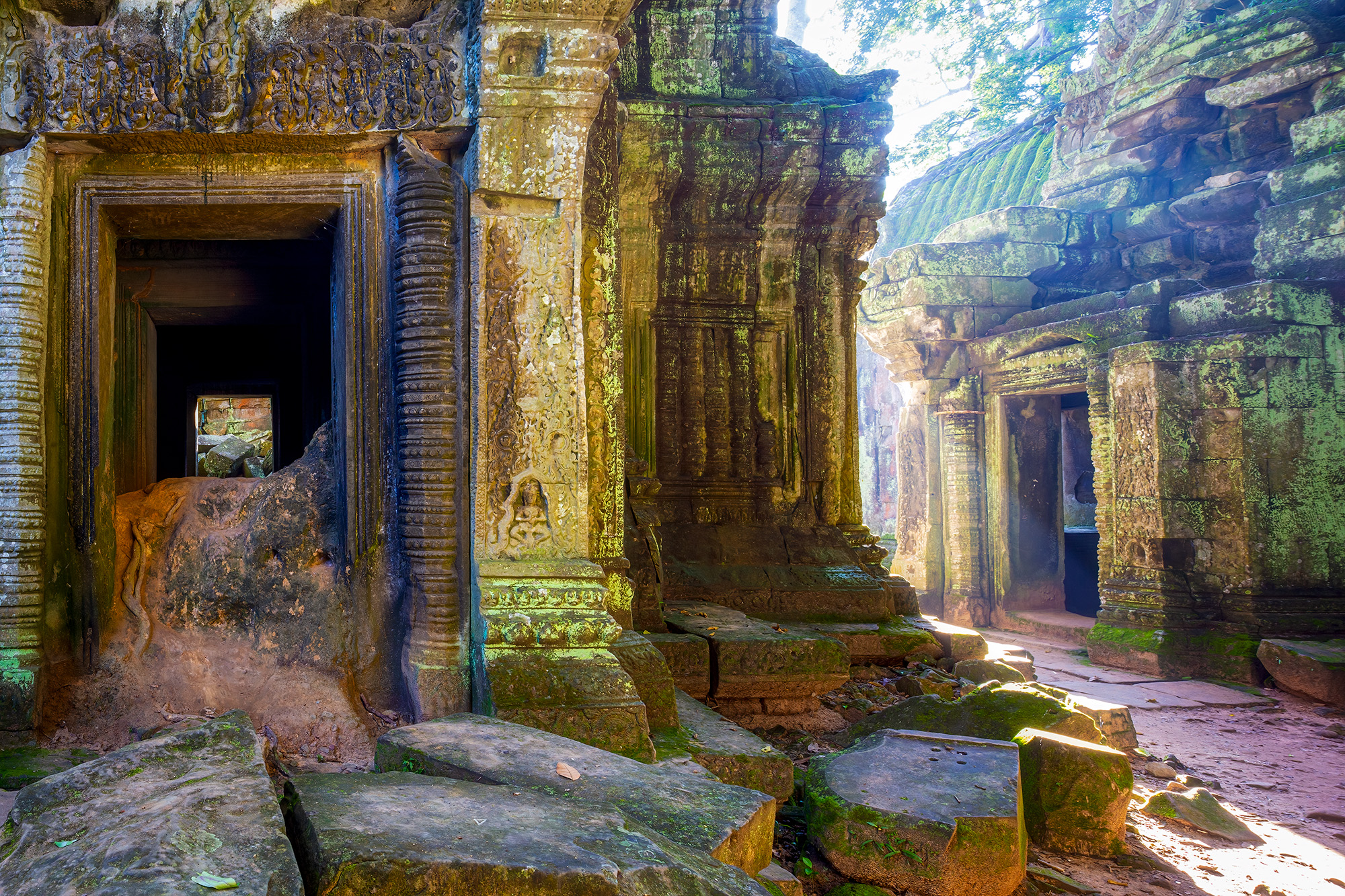Temple's Embrace Within the storied halls of Ta Prohm, Cambodia, my Canon 6D and Canon 24mm Tilt-Shift Lens unveiled this captivating tableau....