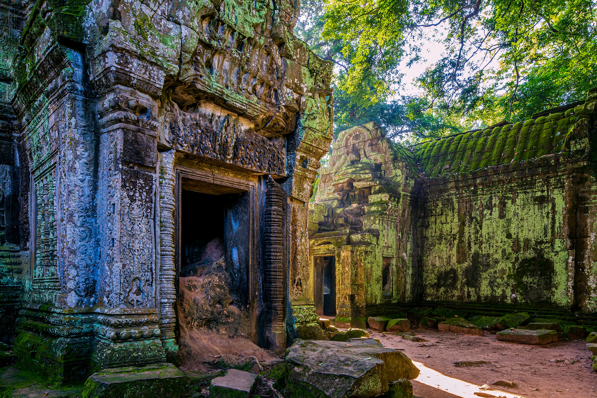 Within the mystical realm of Ta Prohm in Cambodia, I framed this shot using my Canon 6D and Canon 24mm Tilt-Shift Lens, granting...