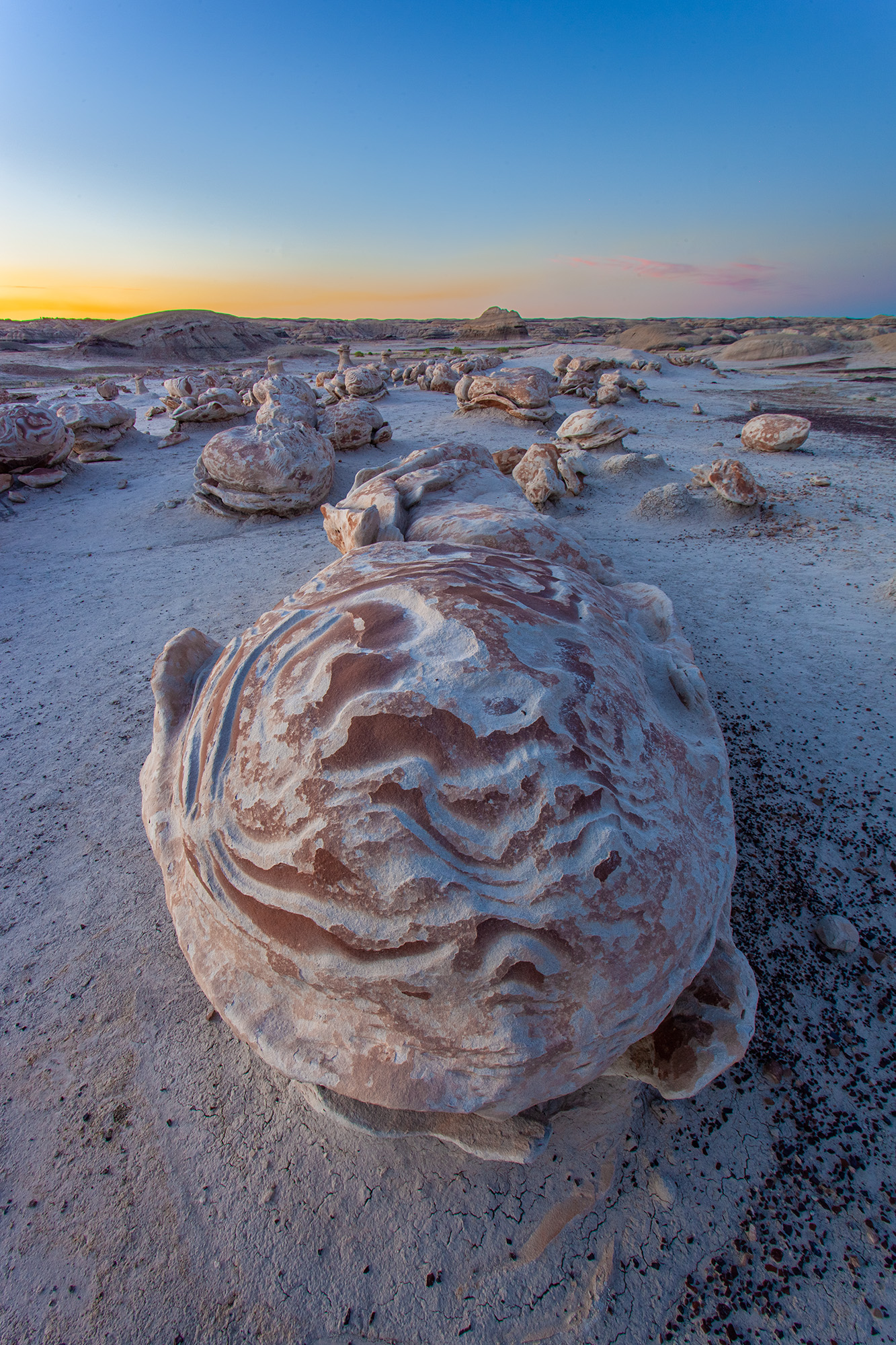 "The Enigmatic Egg Factory" offers a mesmerizing glimpse into the heart of the Bisti Badlands, New Mexico. This image captures...