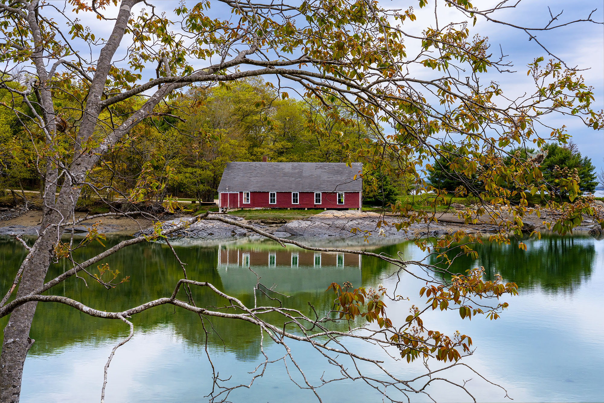 Tranquil Waters of Canary Cove "Tranquil Waters of Canary Cove" presents a meticulously crafted image capturing the serene beauty of this idyllic Maine coastal...