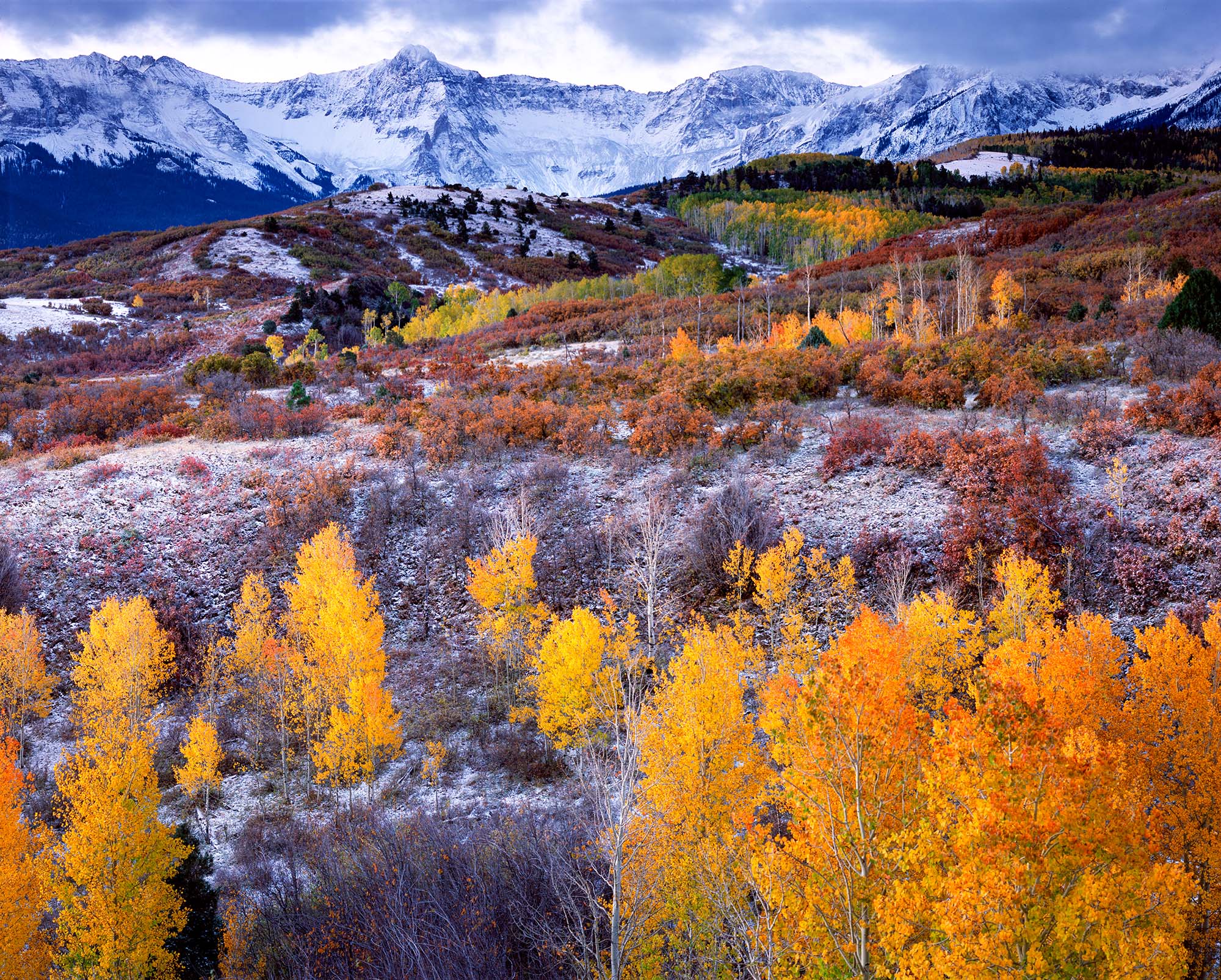 This image captures the majestic San Juan Mountains in Colorado as seen from Dallas Divide during the vibrant fall season. The...