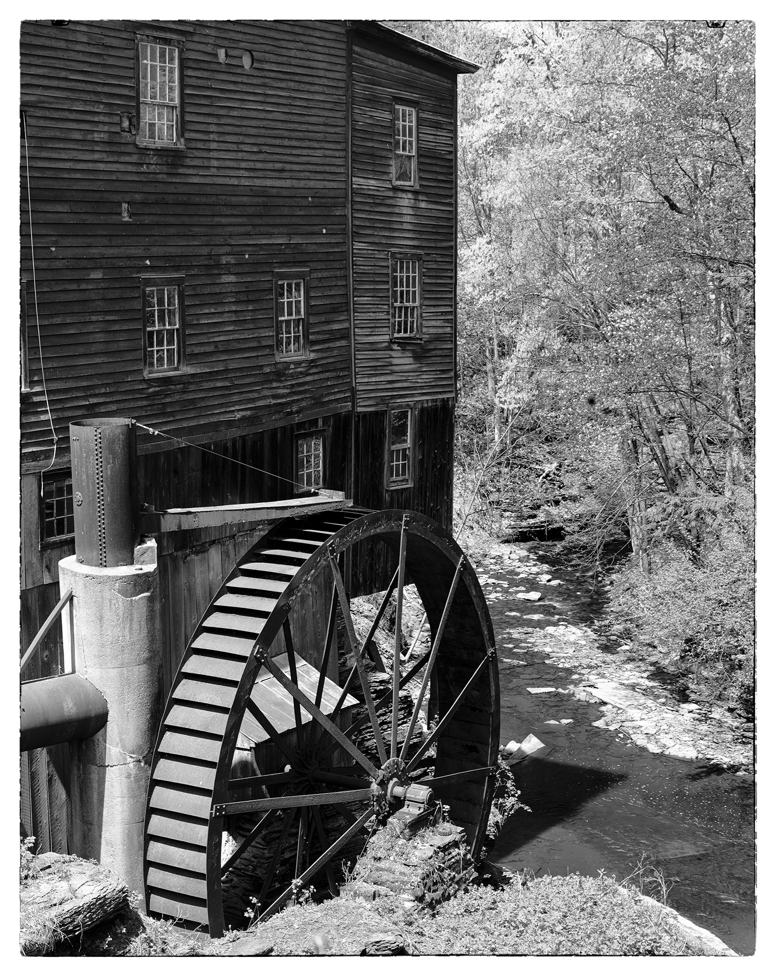 This vertical image, captured with my Ebony SV45Te View Camera on Kodak TMax film, transports us to New Hope Mills, New York....