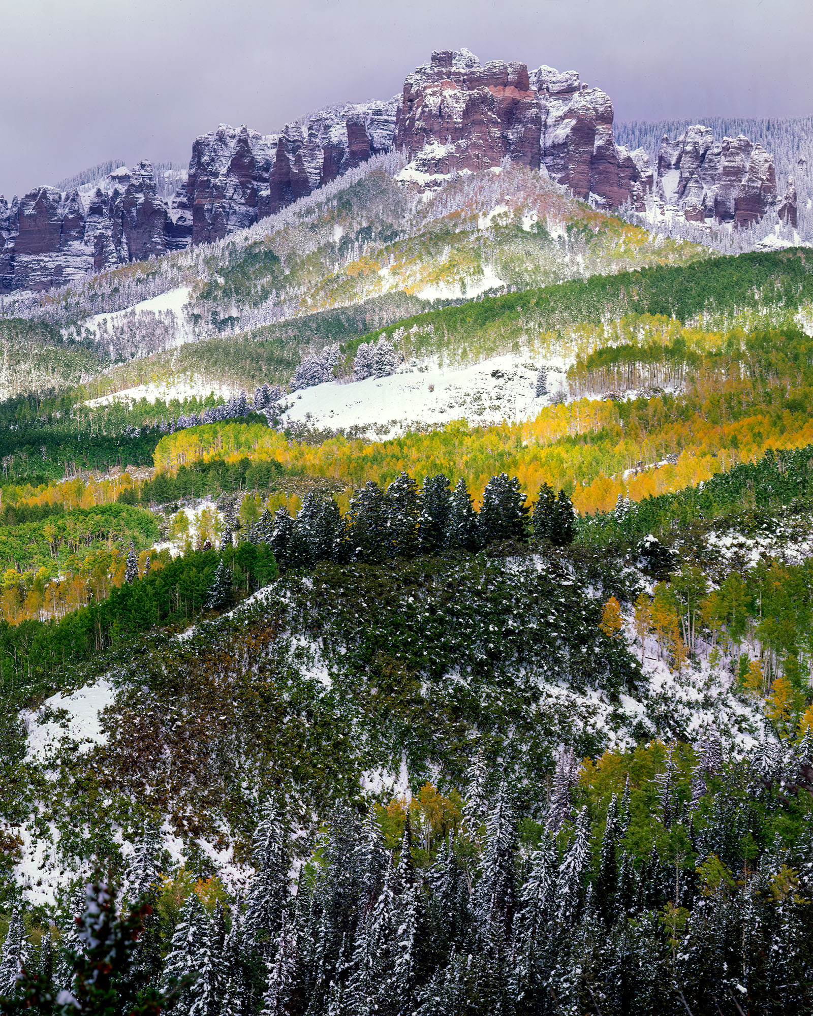 This vertical image captures the enchanting scene of a snowy autumn day along Owl Creek Basin in Colorado. The frame is filled...