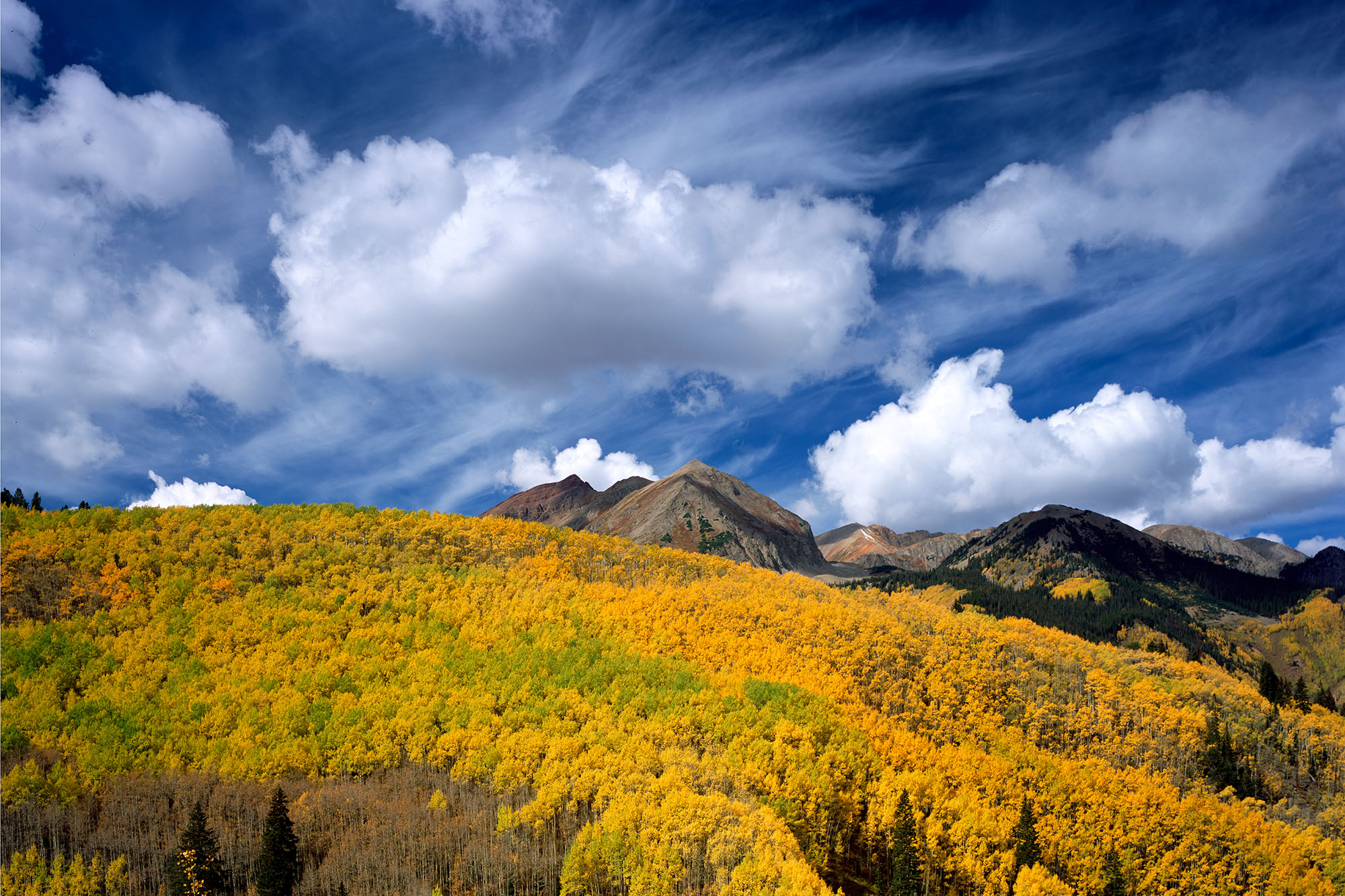 Golden Glory in the Colorado Rockies With my Ebony SV45Te View Camera and a Nikkor 210mm Lens, I embarked on a photographic journey into a resplendent aspen forest...