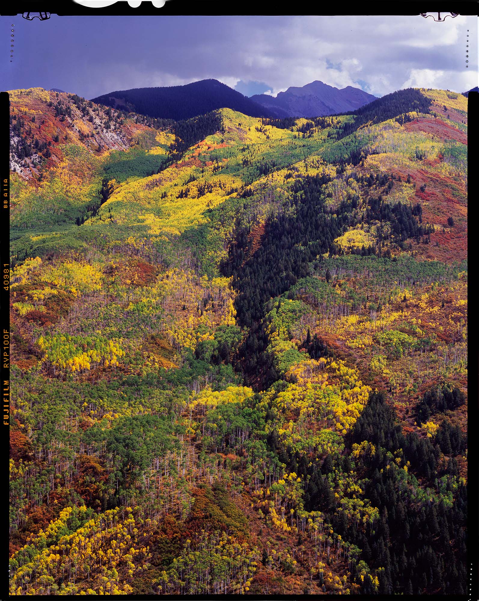 This image does a great job of showing the key differences of viewing fall colors in Colorado vs back in New England.  We do...