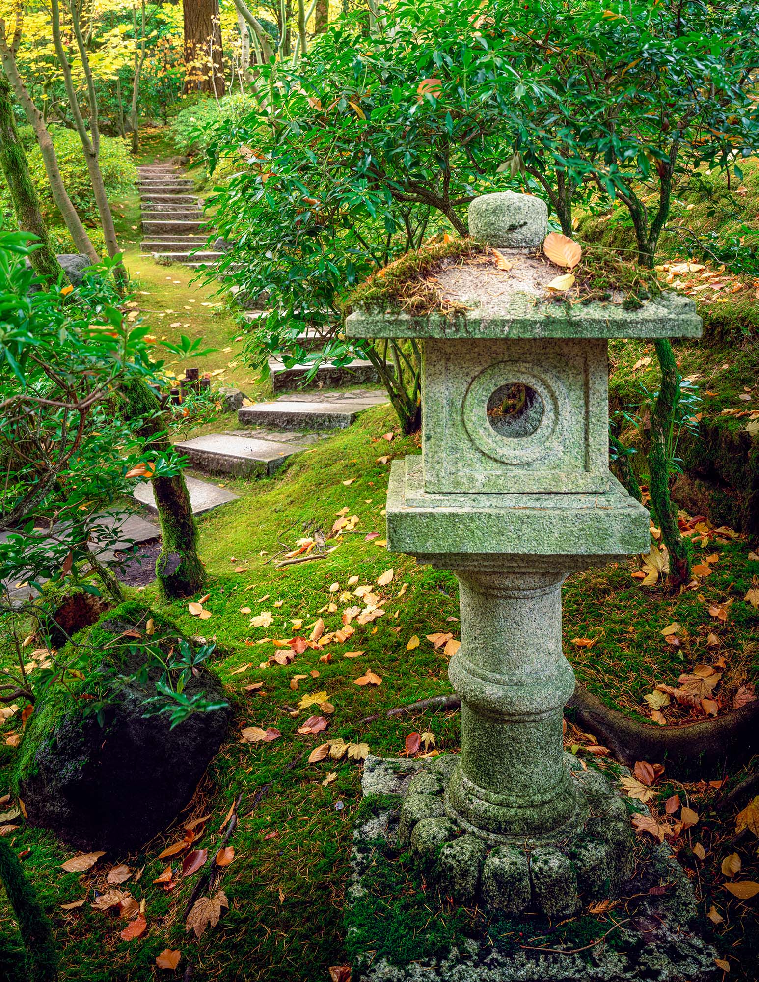 In this tranquil image captured at the Portland Japanese Gardens, a Japanese stone lantern stands as a guardian at the entrance...